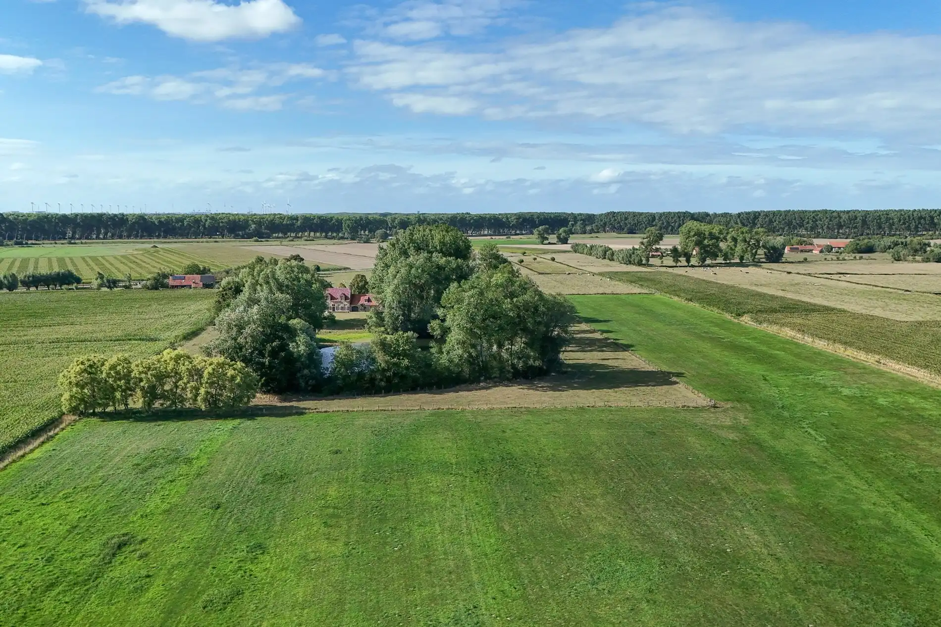 Hoeve schitterend gelegen te Damme foto 14