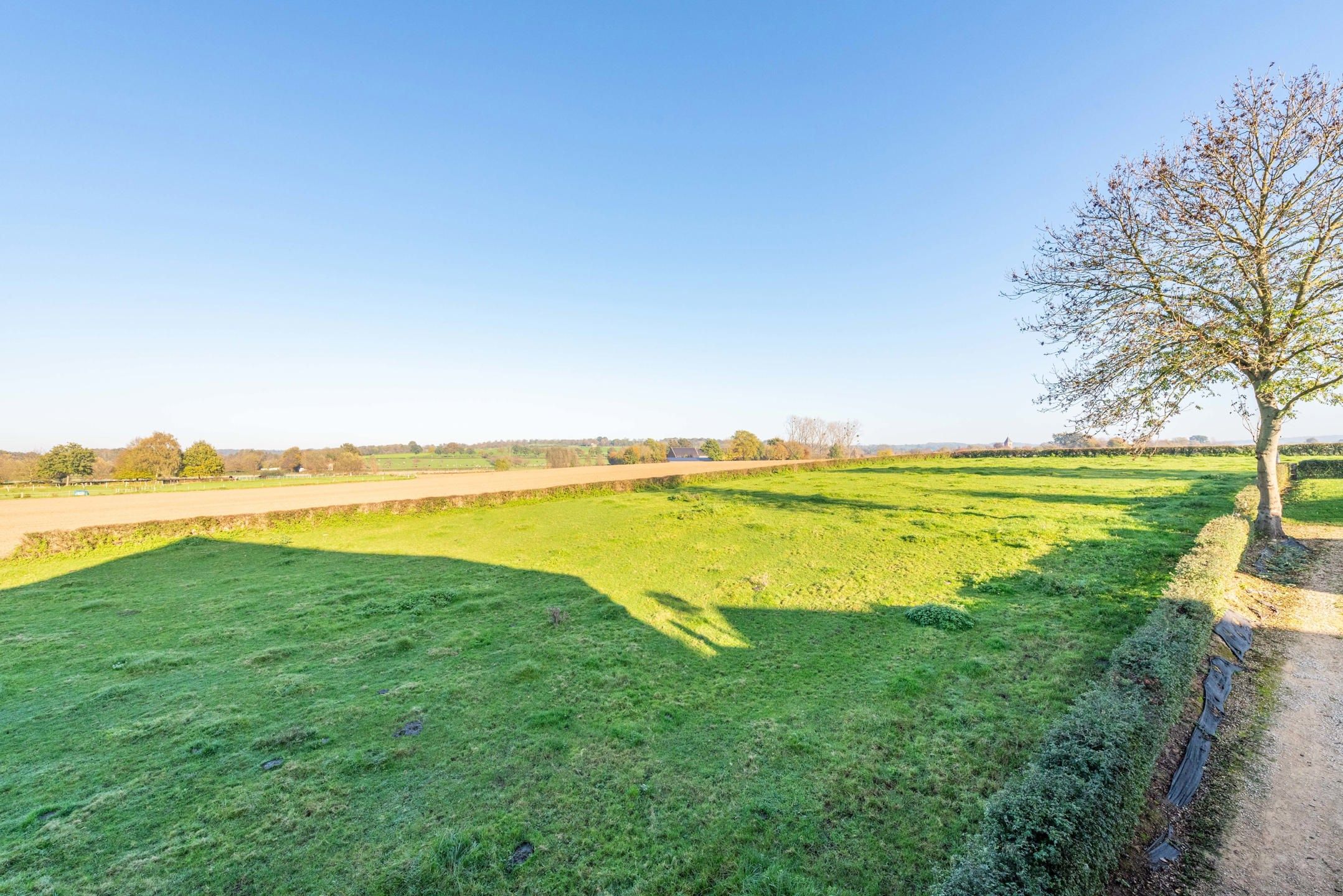 Uniek gelegen opbrengsteigendom te Moelingen foto 44