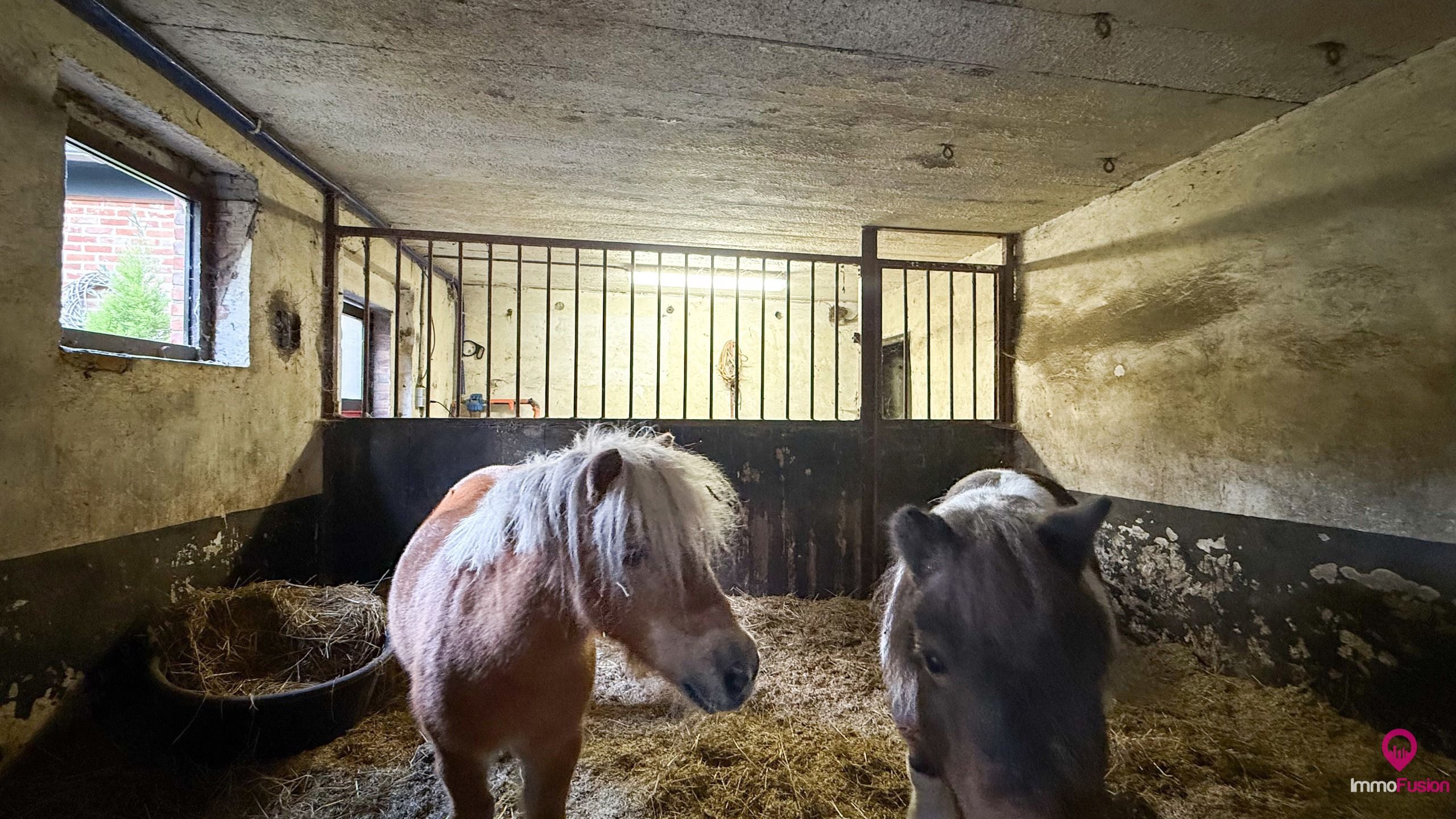 Idyllische woning met 2 slaapkamers, weide en stallen! foto 24