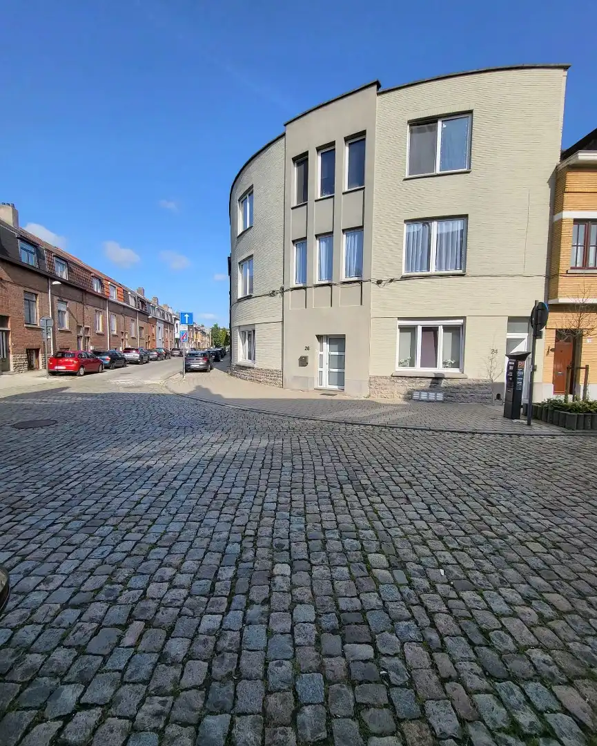 De huidige eigenaar is verliefd...dus is ze ribbedebie... :-) foto 16