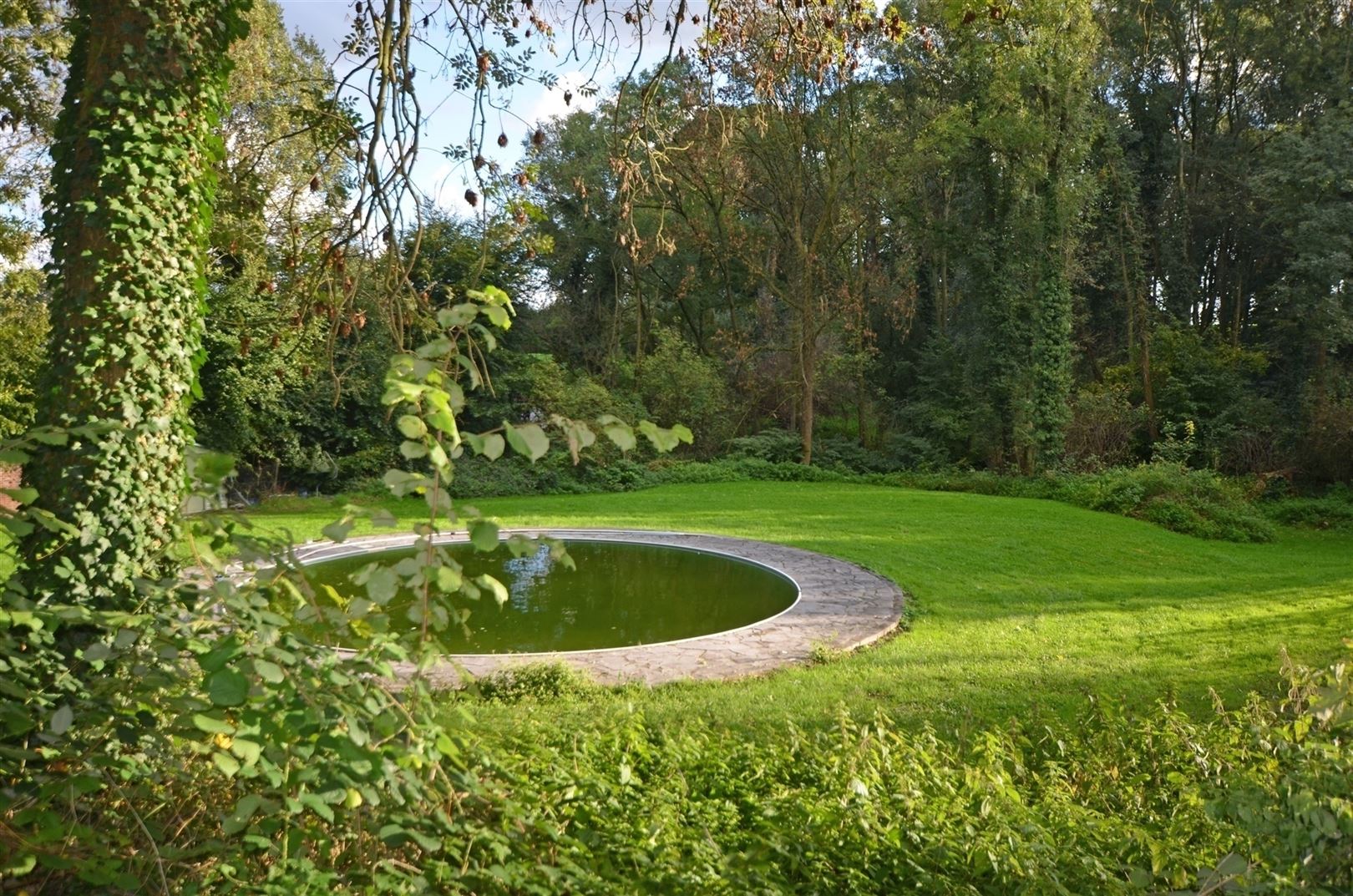 Uniek kasteeldomein op ±6.5 Ha met veel mogelijkheden foto 27