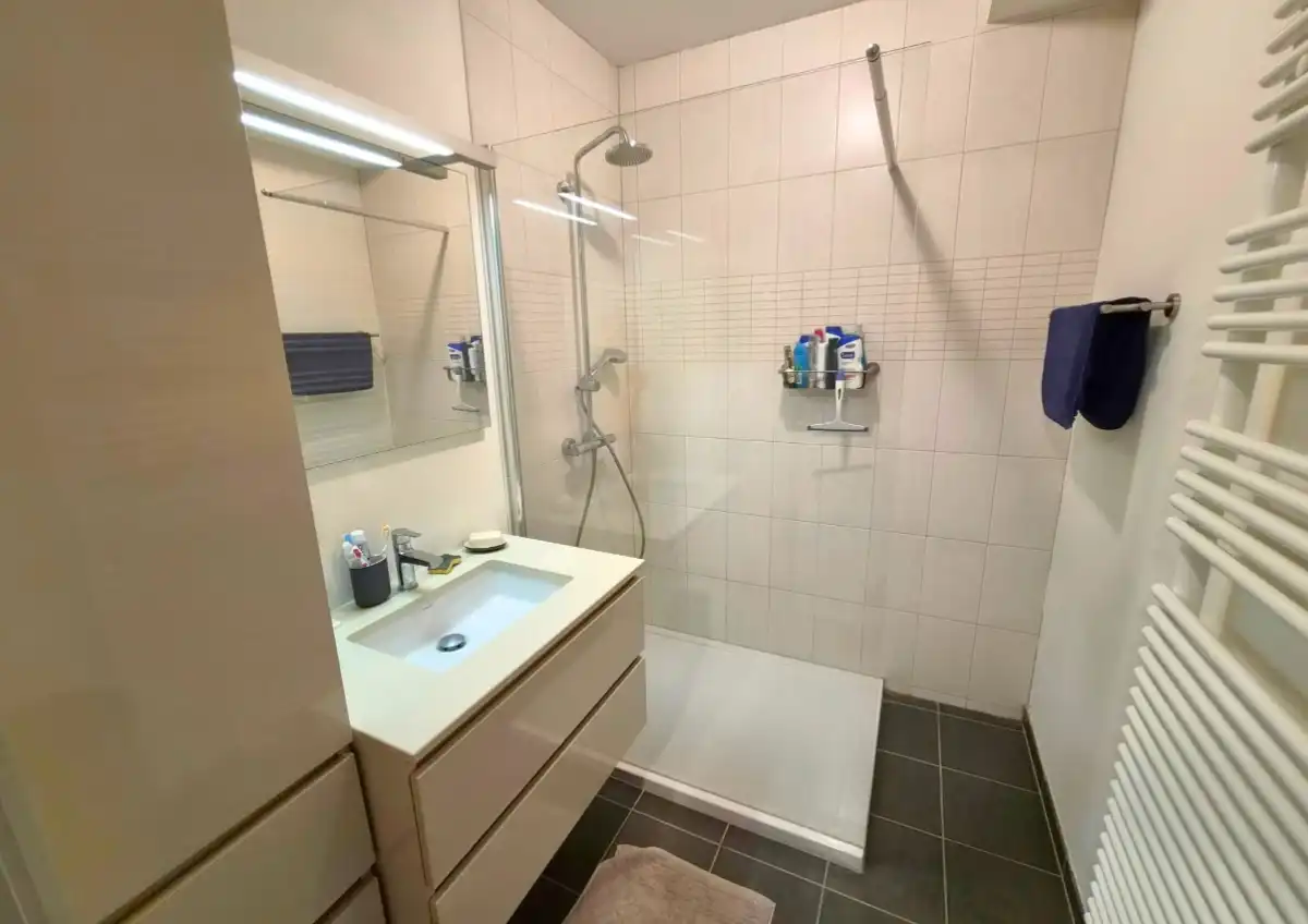 RECENT APPARTEMENT TE KOOP TE DE PANNE foto 10