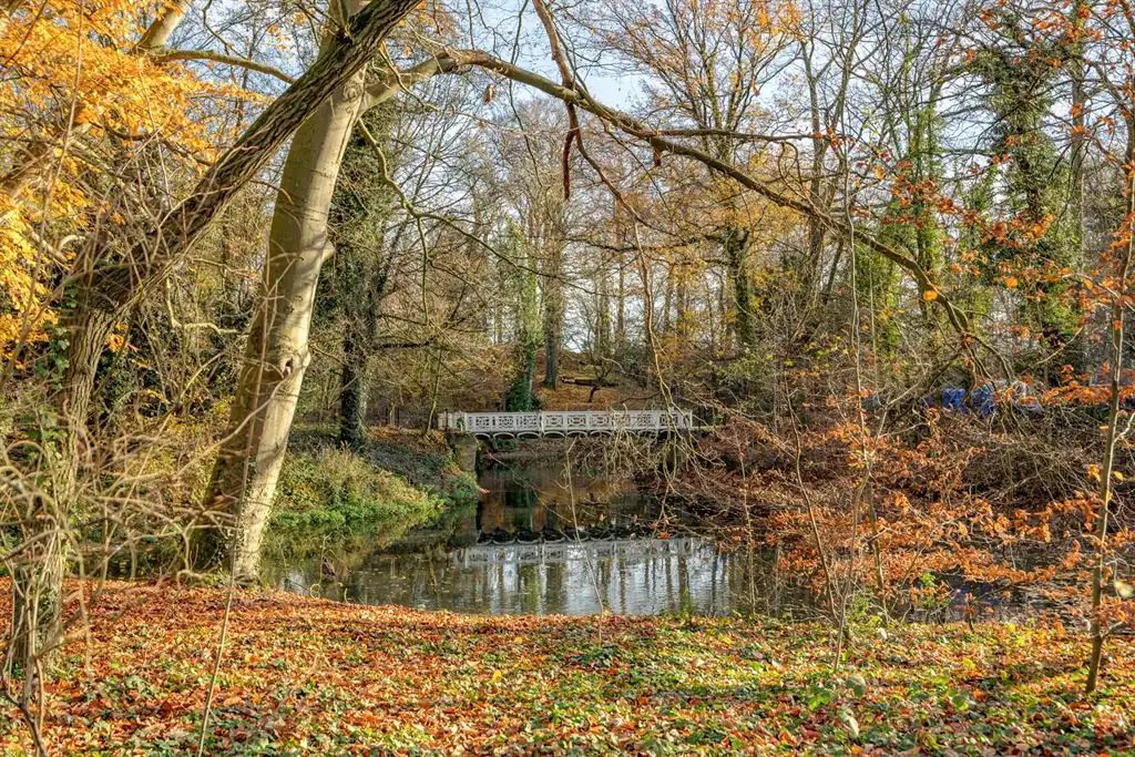 Ruime woning met inpandige garage en tuin foto 28