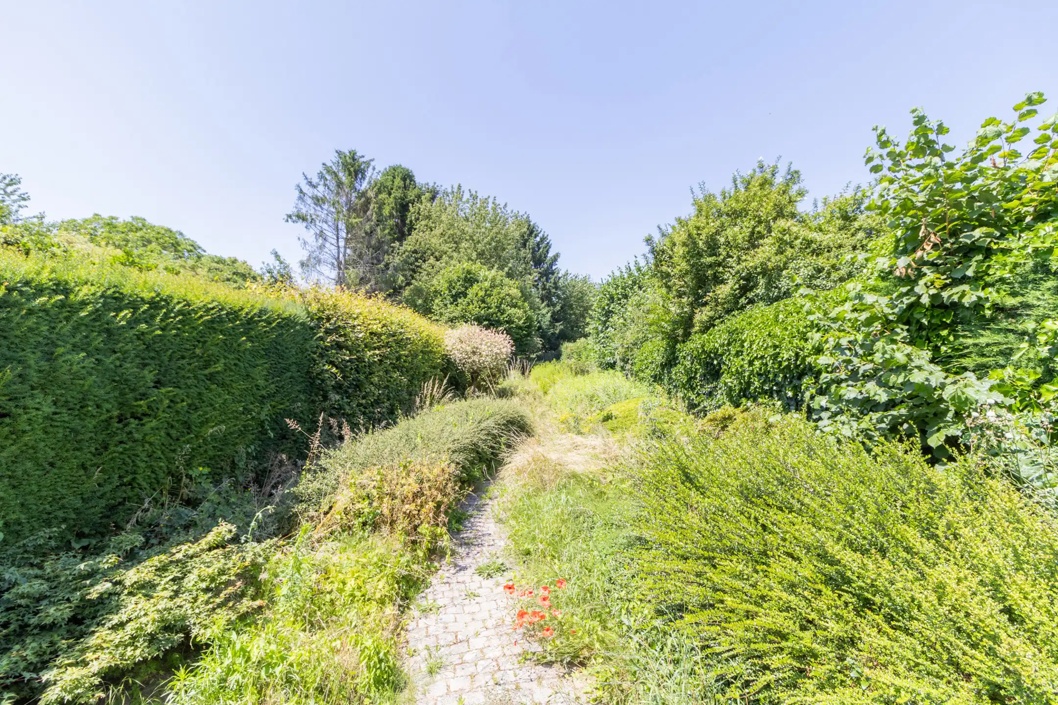 STERREBEEK: aangename woning met 3 slaapkamers  foto 13