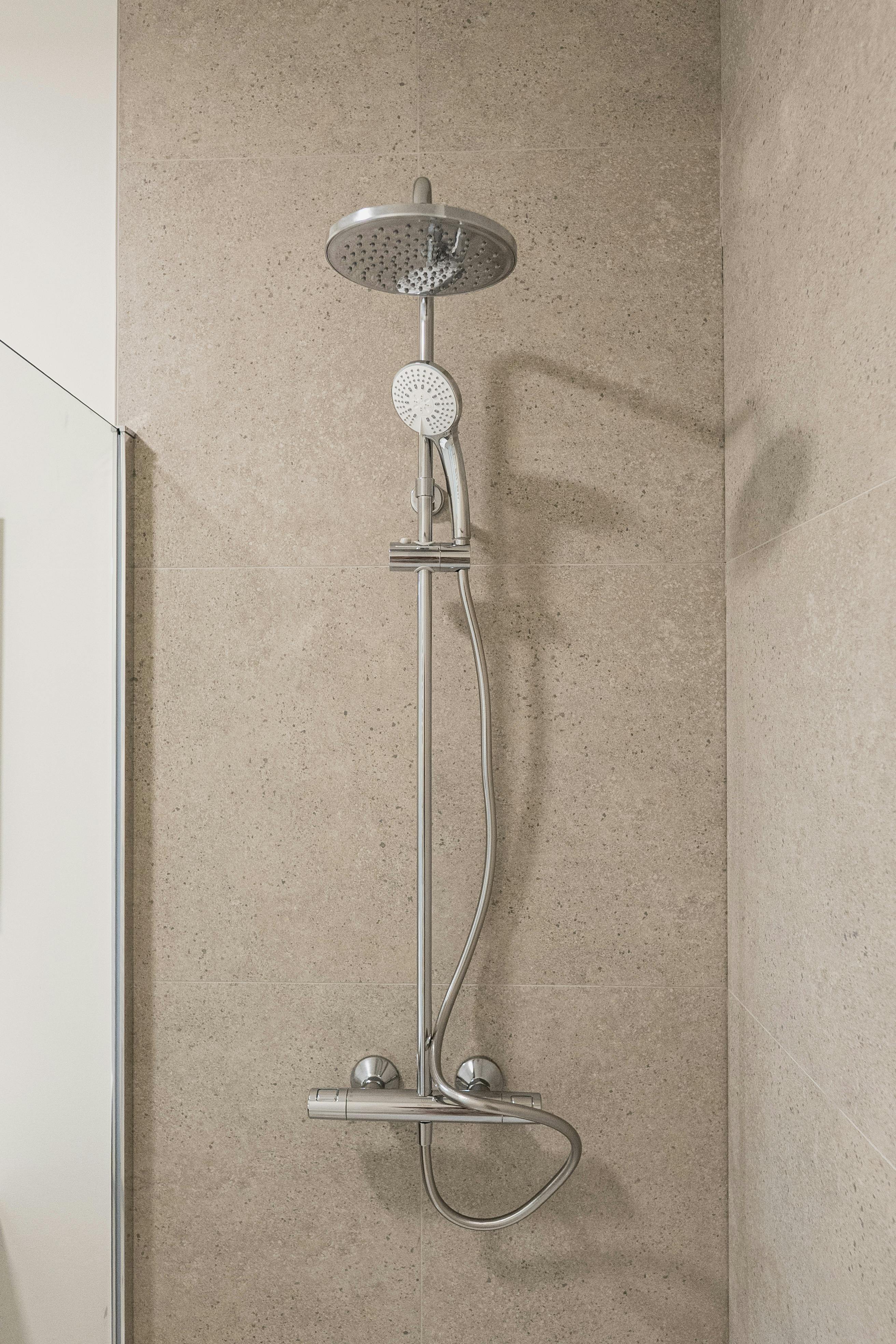 Albert & Jerome te koop in Desselgem foto 13