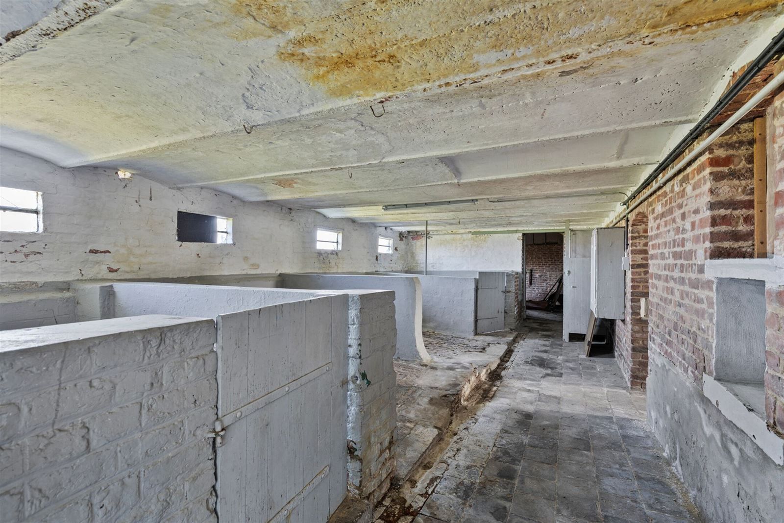 Hoeve met stallen en schuur op prachtig perceel! foto 15