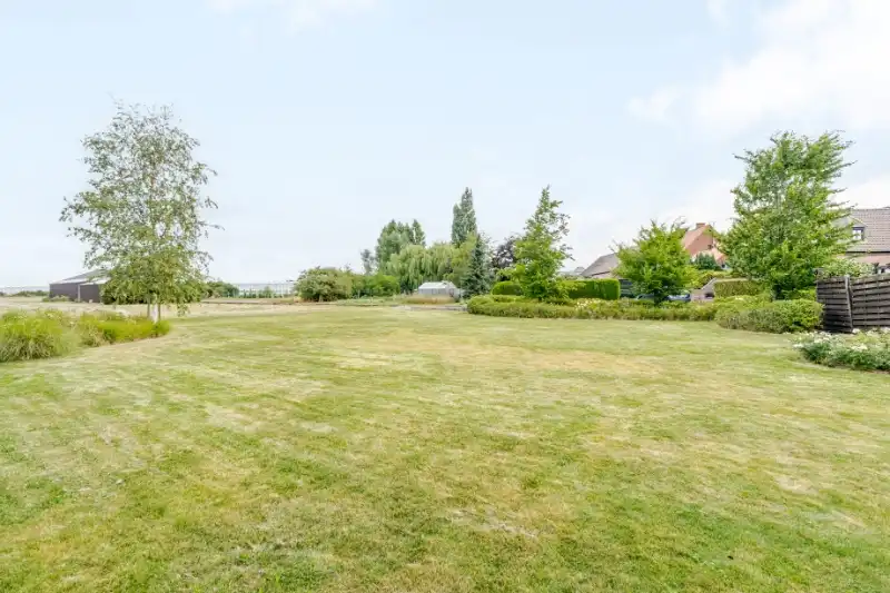 Woning met loods op 13.656m² foto 16