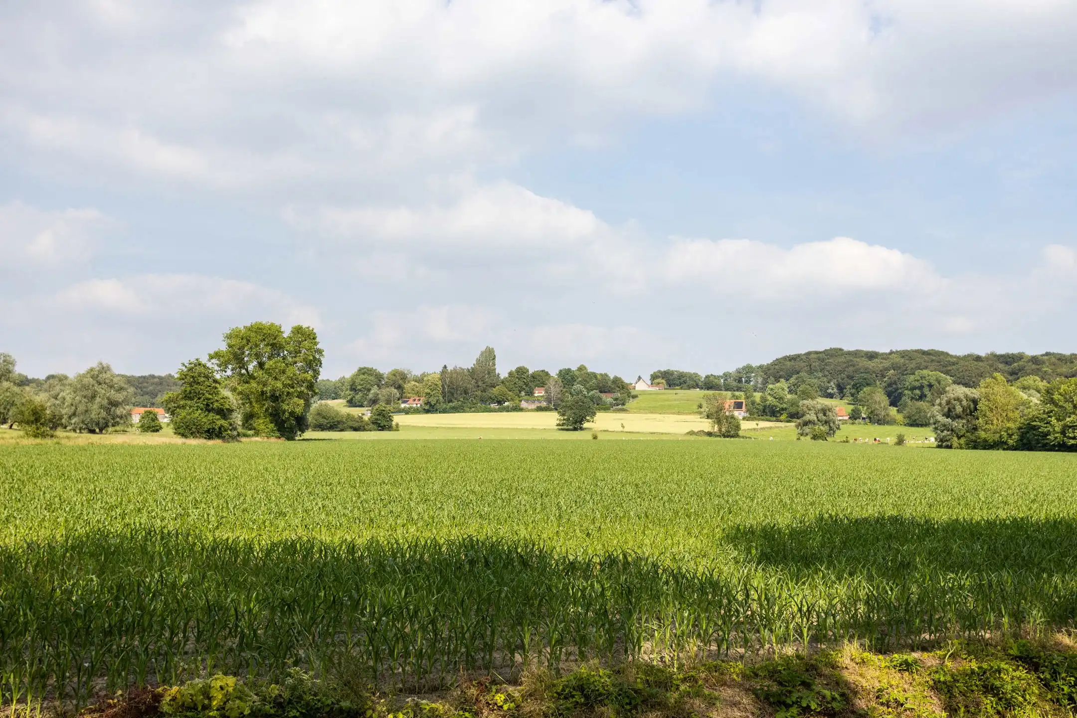 Unieke woning in het groene Pays des Collines / kangoeroewoning foto 30