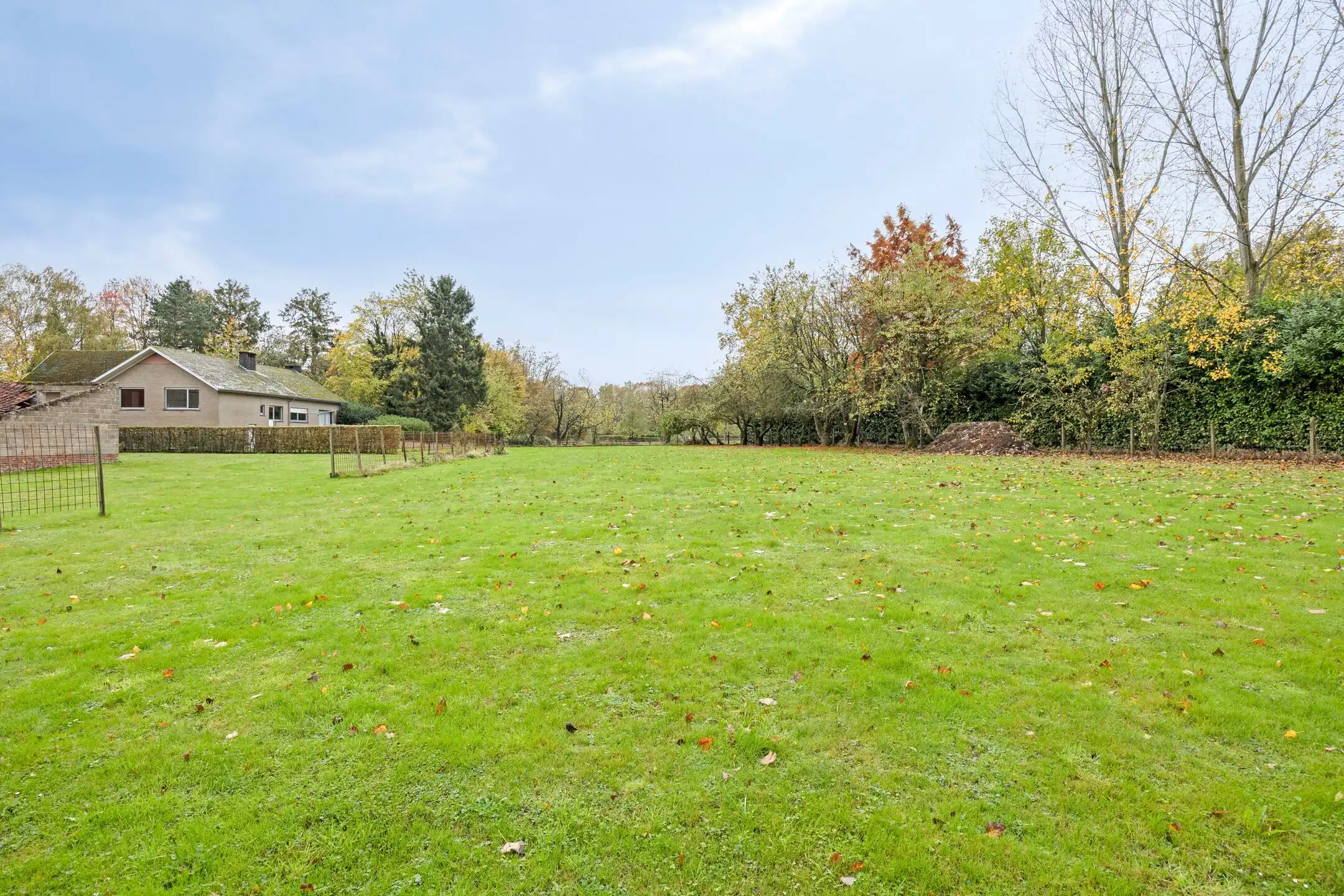 Opportune woning te Lubbeek: omringd door natuur foto 30