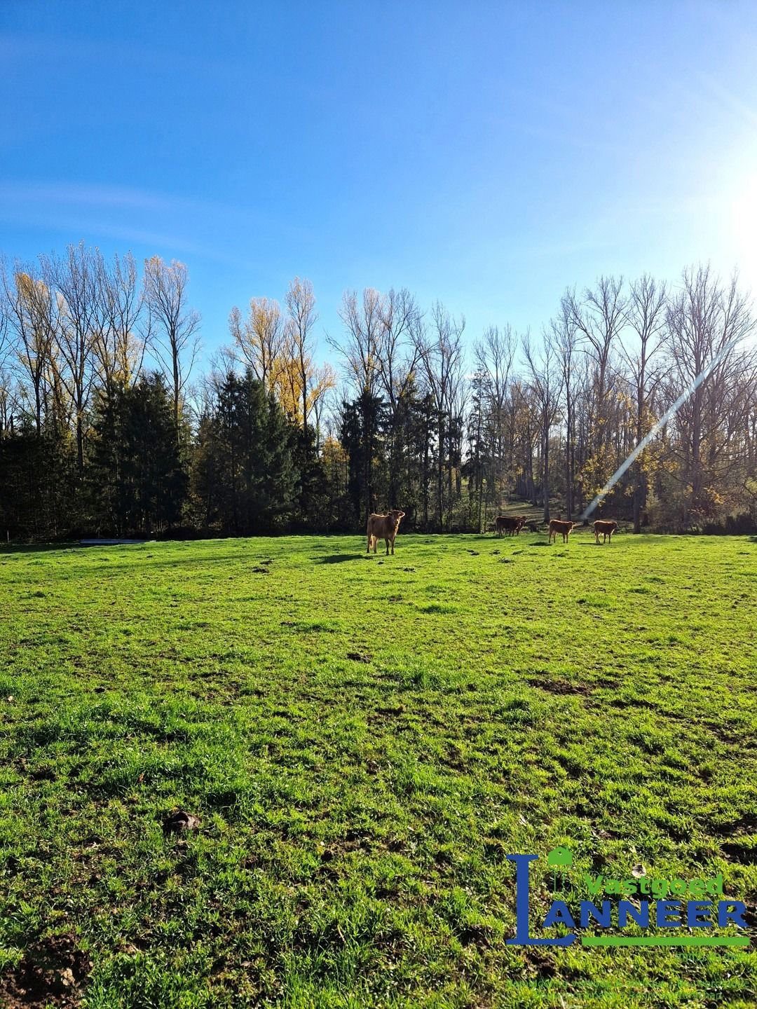Hoeve met binnenplein, schuur, weides en bos op 3ha79a35ca foto 10