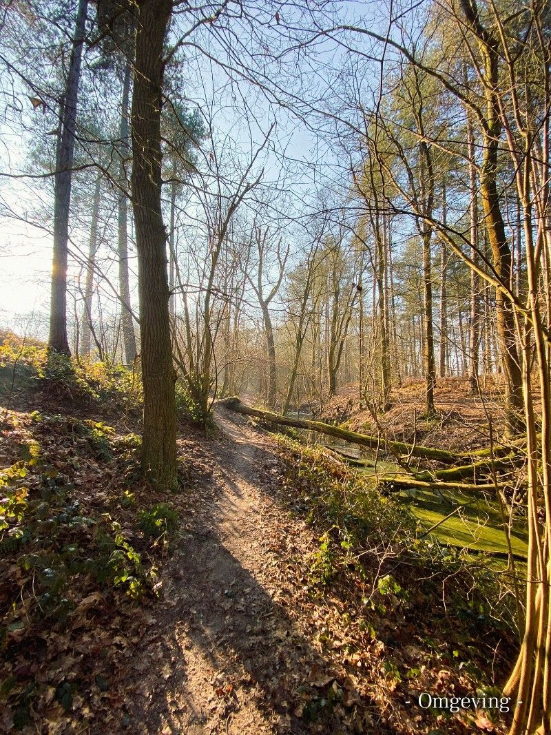 TE KOOP – Uniek stuk bouwgrond in de bossen van Lembeke – >15.000 m² foto 12