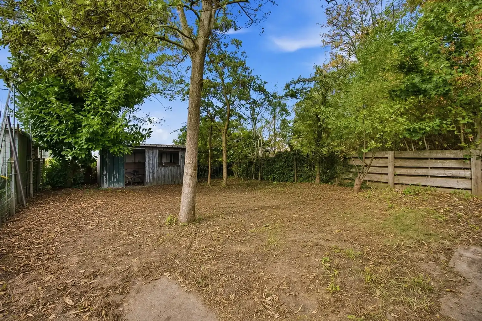 Gelijkvloers wonen met zon en ruimte foto 19