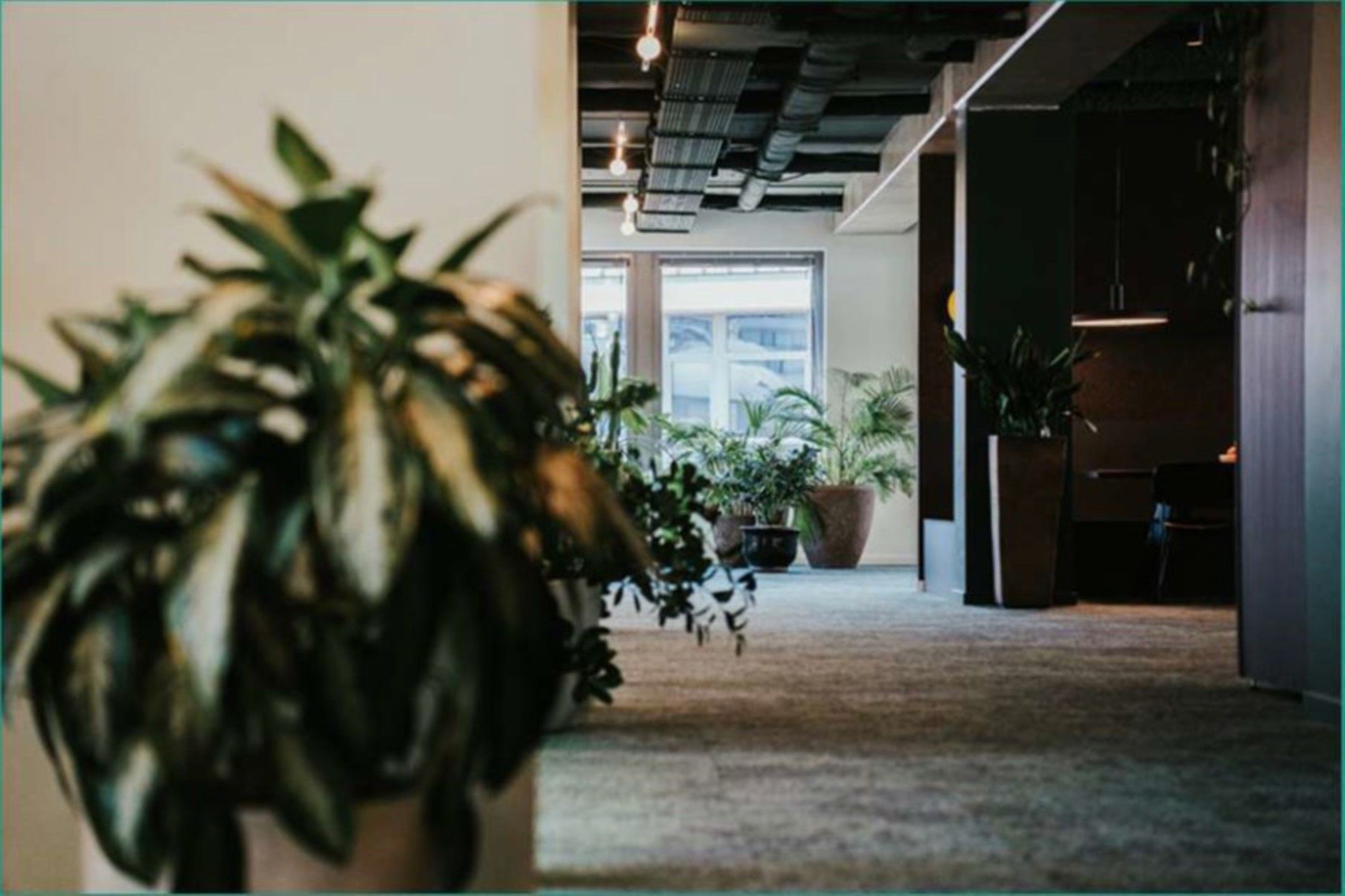 Kantoren te huur CAMPUS 1  GREENLAND foto 5