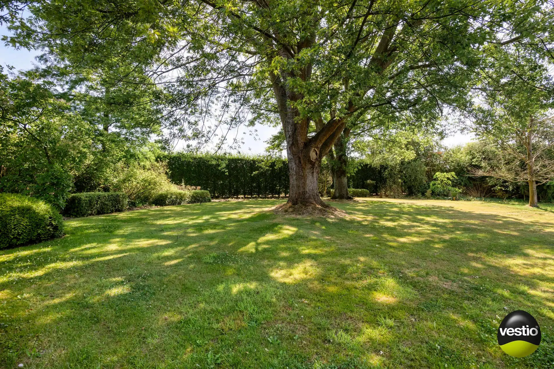 Exclusieve villa in bosrijke omgeving van Hasselt – 5.000 m² privacy en groen foto 27