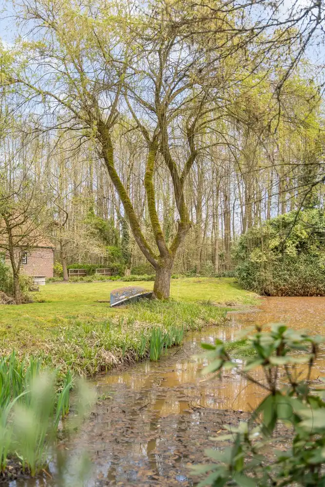 Charmante watermolen met bijgebouwen! foto 5
