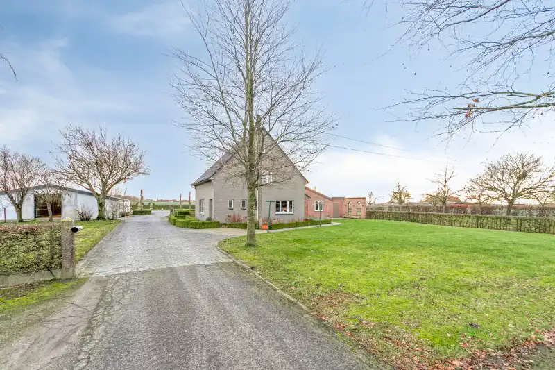 Exclusieve eigendom op ca. 4,4 hectare met professionele paardeninfrastructuur foto 4