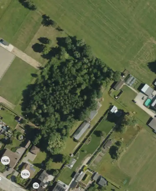 Rustig gelegen perceel bebost landbouwgrond te Schriek foto 4