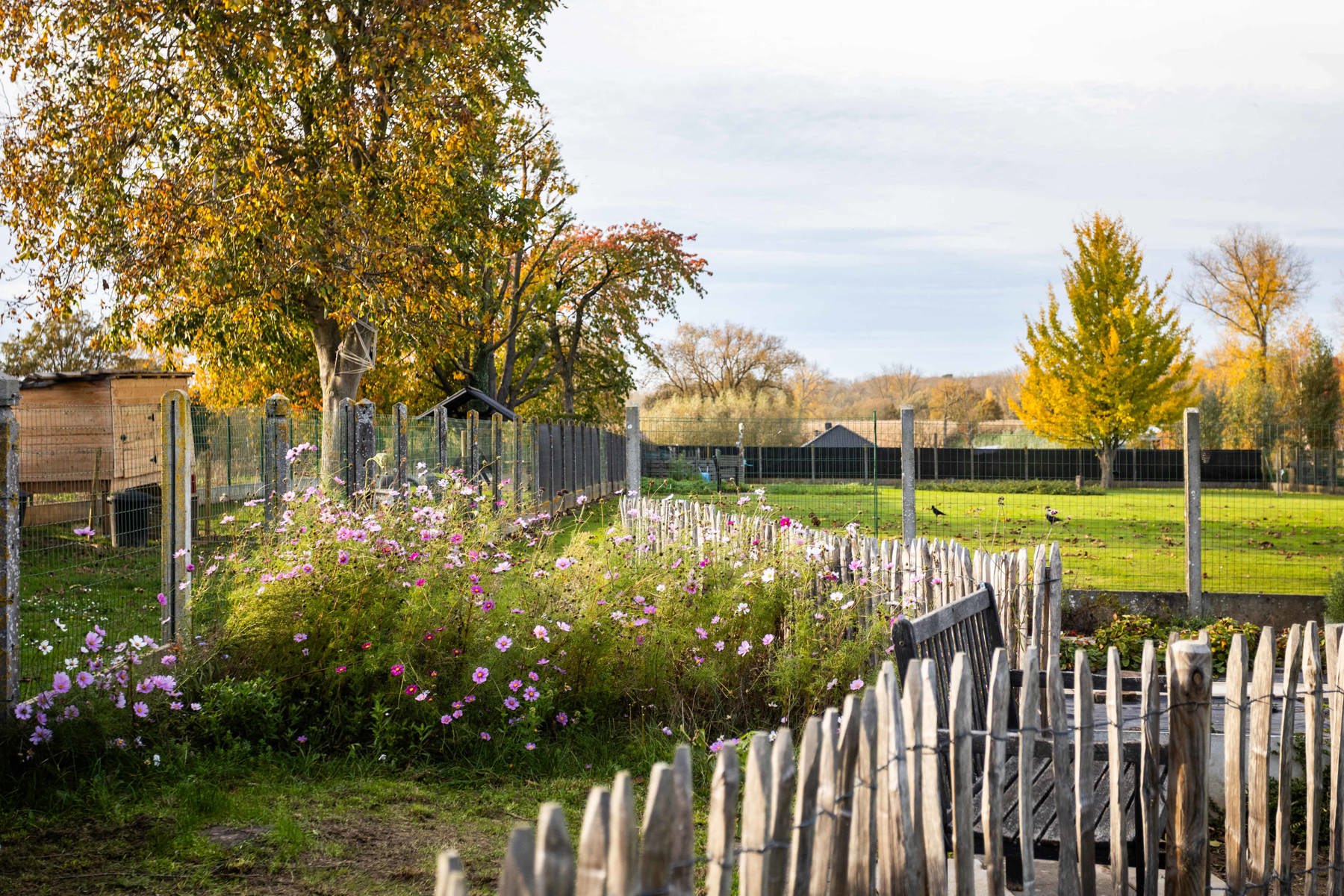 Instapklare bungalow met 3 slaapkamers en ruime tuin. foto 27
