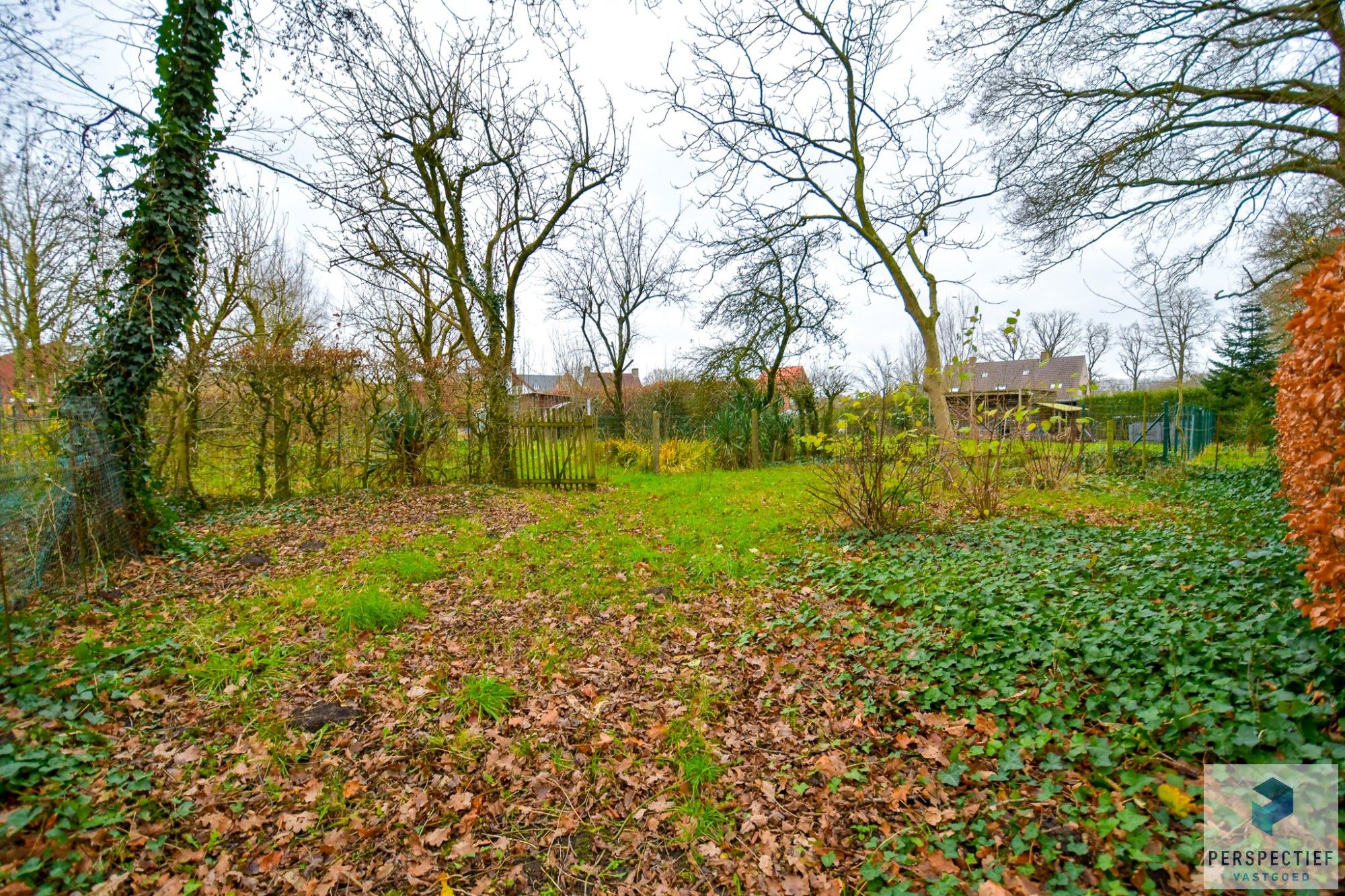 Te renoveren GOED GELEGEN woning met bijhuis op een perceel van 2034 m² met landelijke uitzichten foto 3