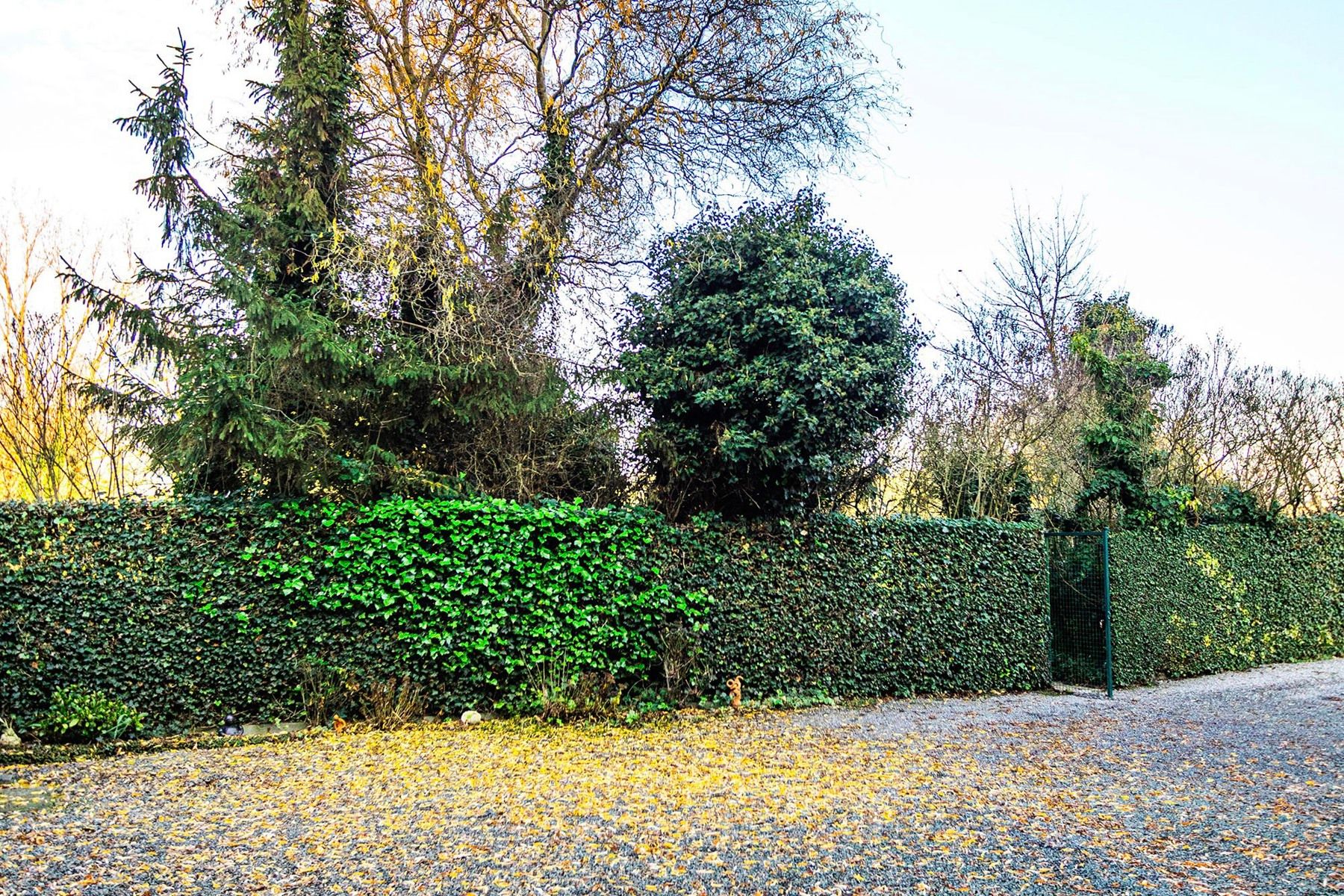 Lichtrijke penthouse met uitzonderlijk uitzicht en 2 garages foto 35