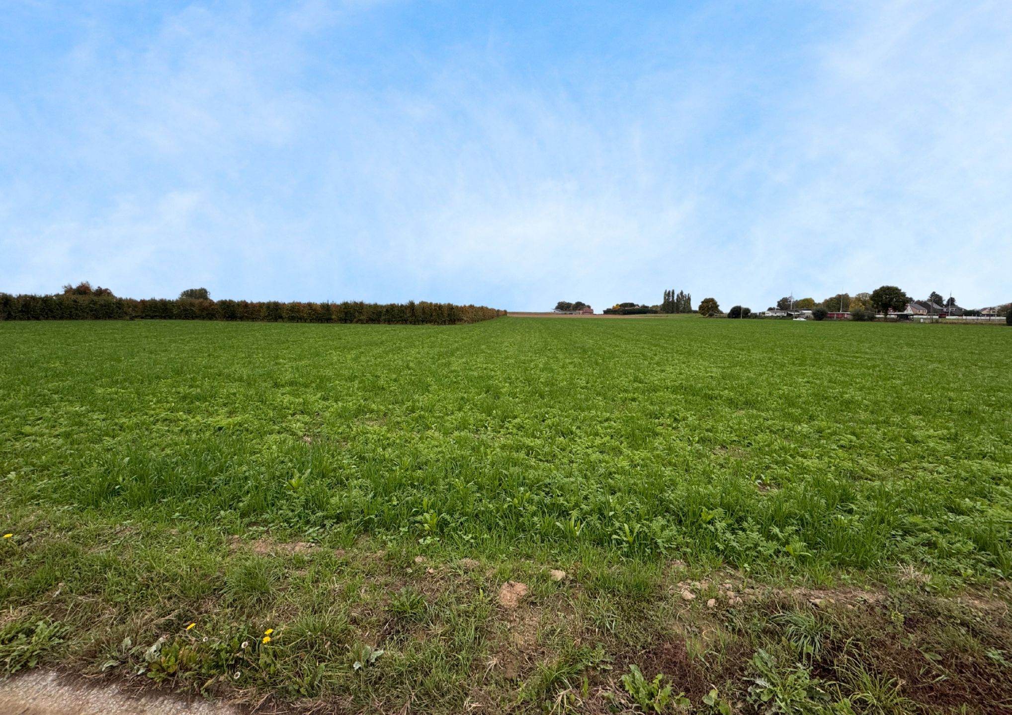 Bouwgrond van 10a 31ca voor open bebouwing foto 6