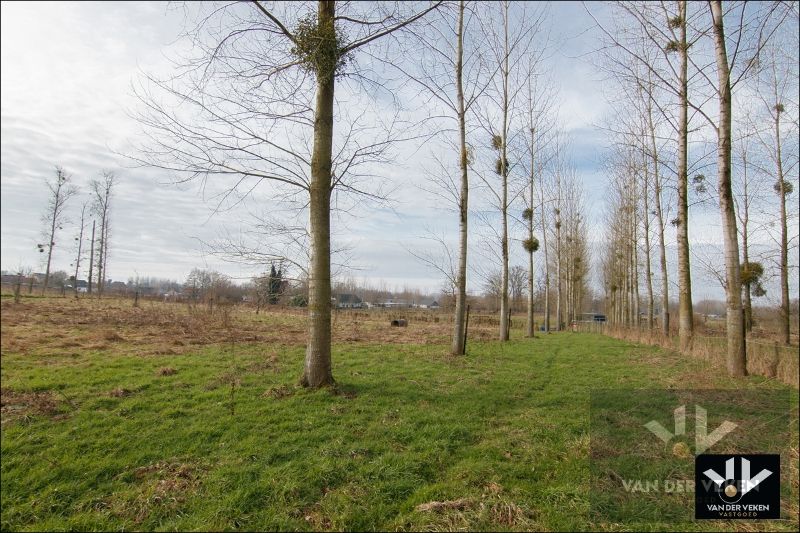 11,5 hectaren landbouwgrond foto 13
