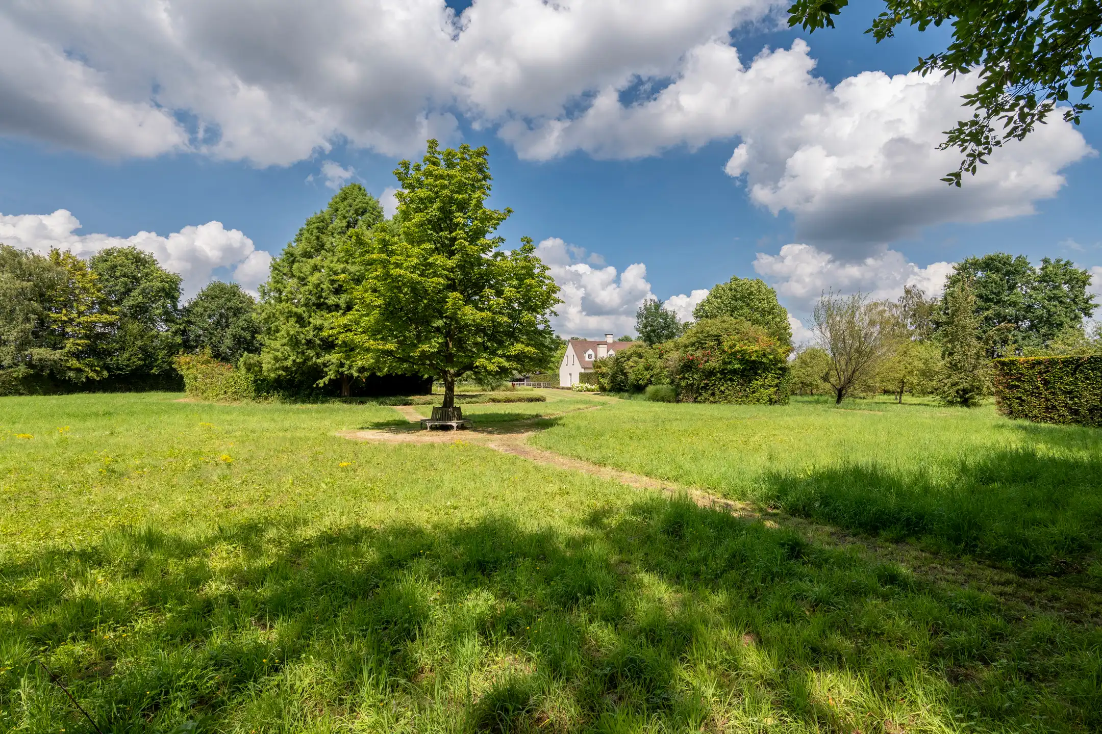 Uniek landgoed op ca. 1,78ha met paardenaccommodatie foto 30