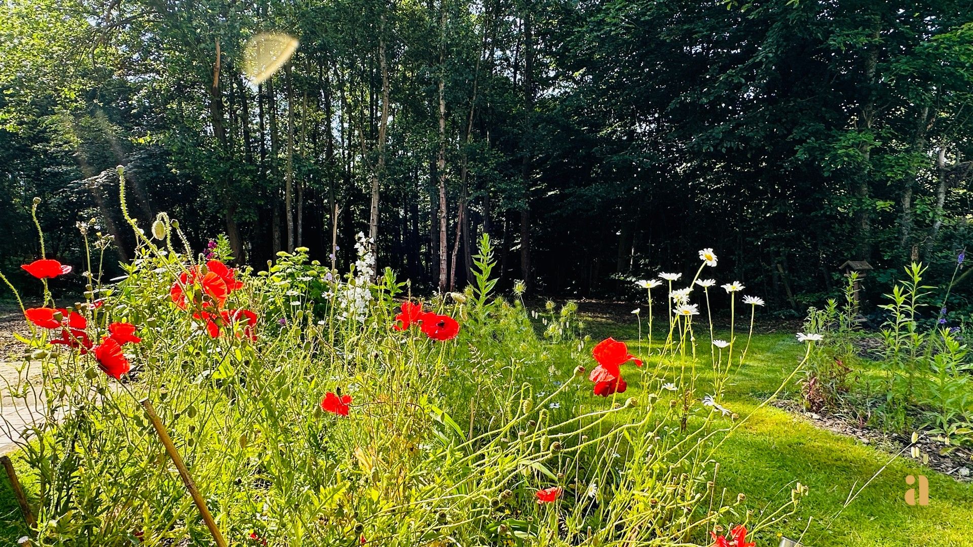Groen geluk, bouw je droom in Deurle! foto {{pictureIndex}}