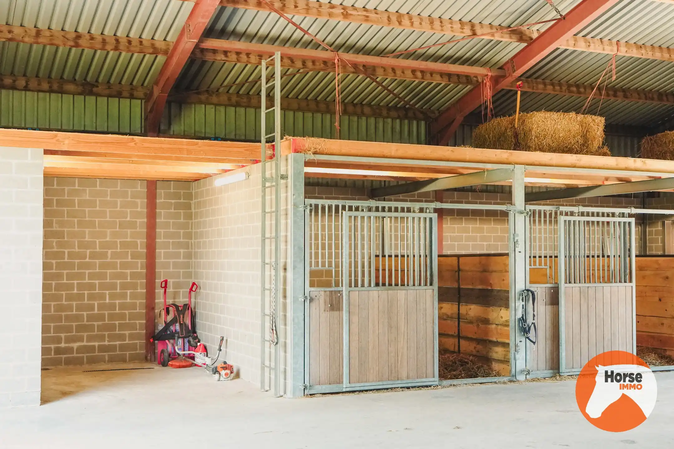 AXEL - Hoeve op een goede locatie met paardenfaciliteiten foto 4