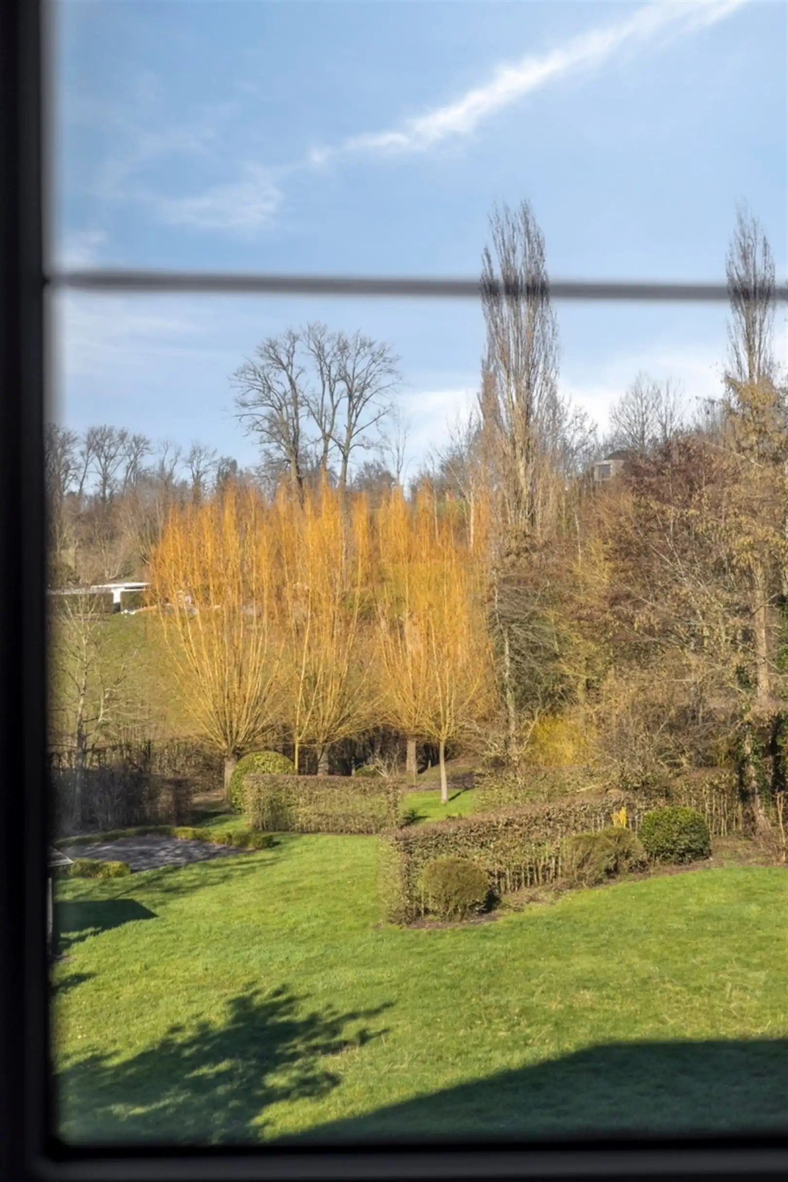 Riante villa op 3465 m2 in deelgemeente Volkegem foto 13