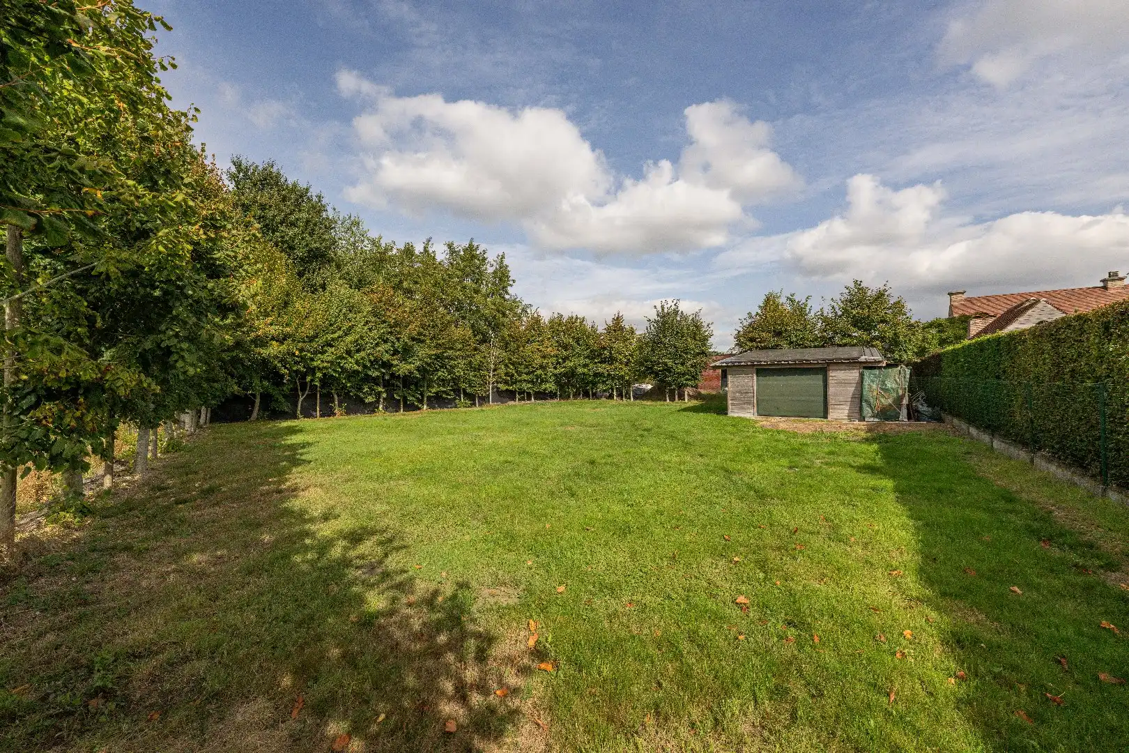 CASCO WONING MET 4 SLAAPKAMERS OP 1.544 m² IN KRUISEM foto 17