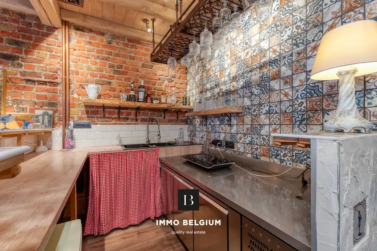 Gerenoveerde eigendom in de Concessie foto 10