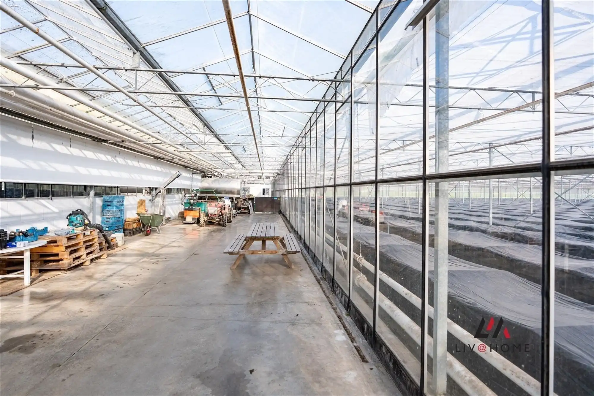 Moderne landbouwwoning met serre en loods op 10 ha foto 28