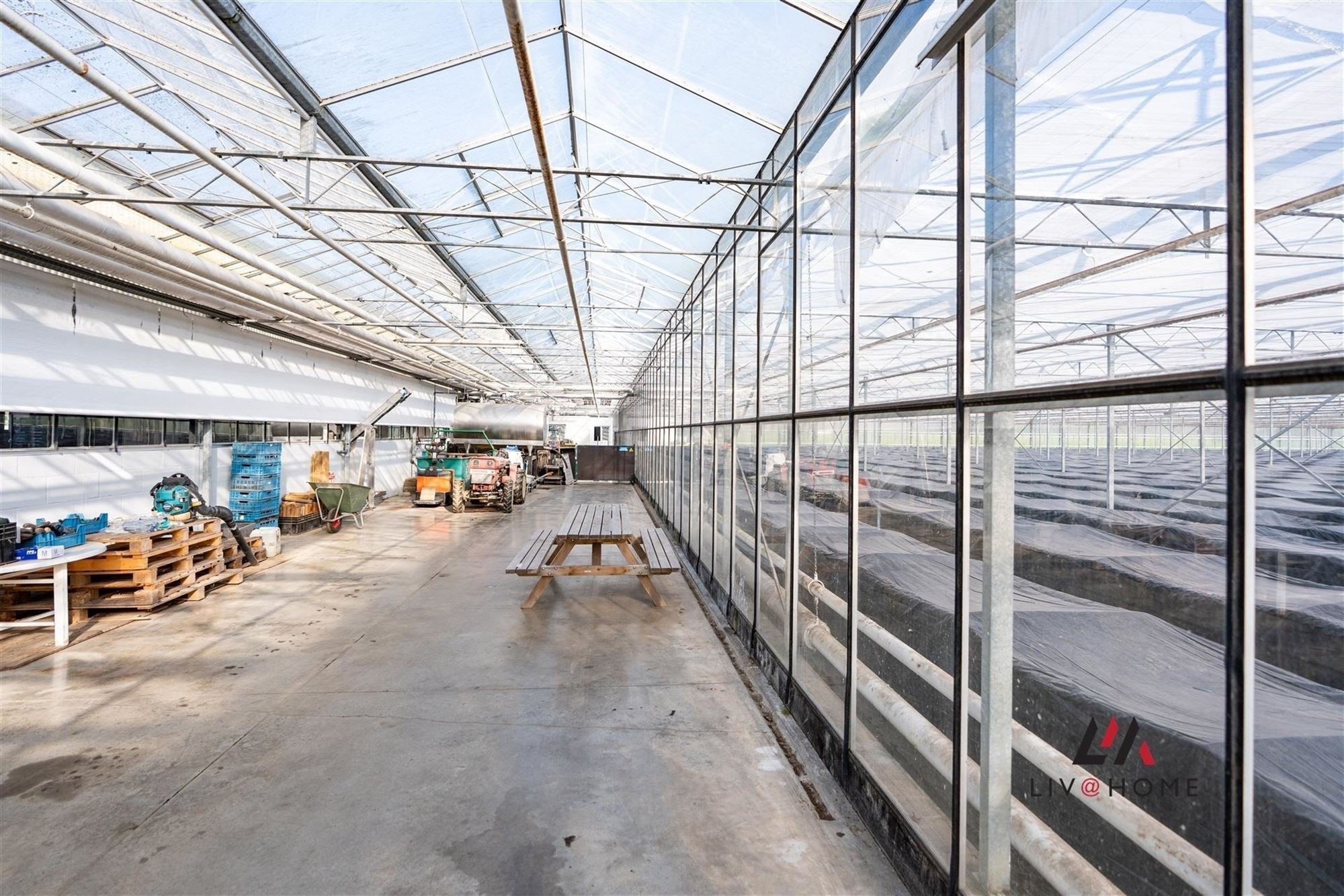 Moderne landbouwwoning met serre en loods op 10 ha foto 28