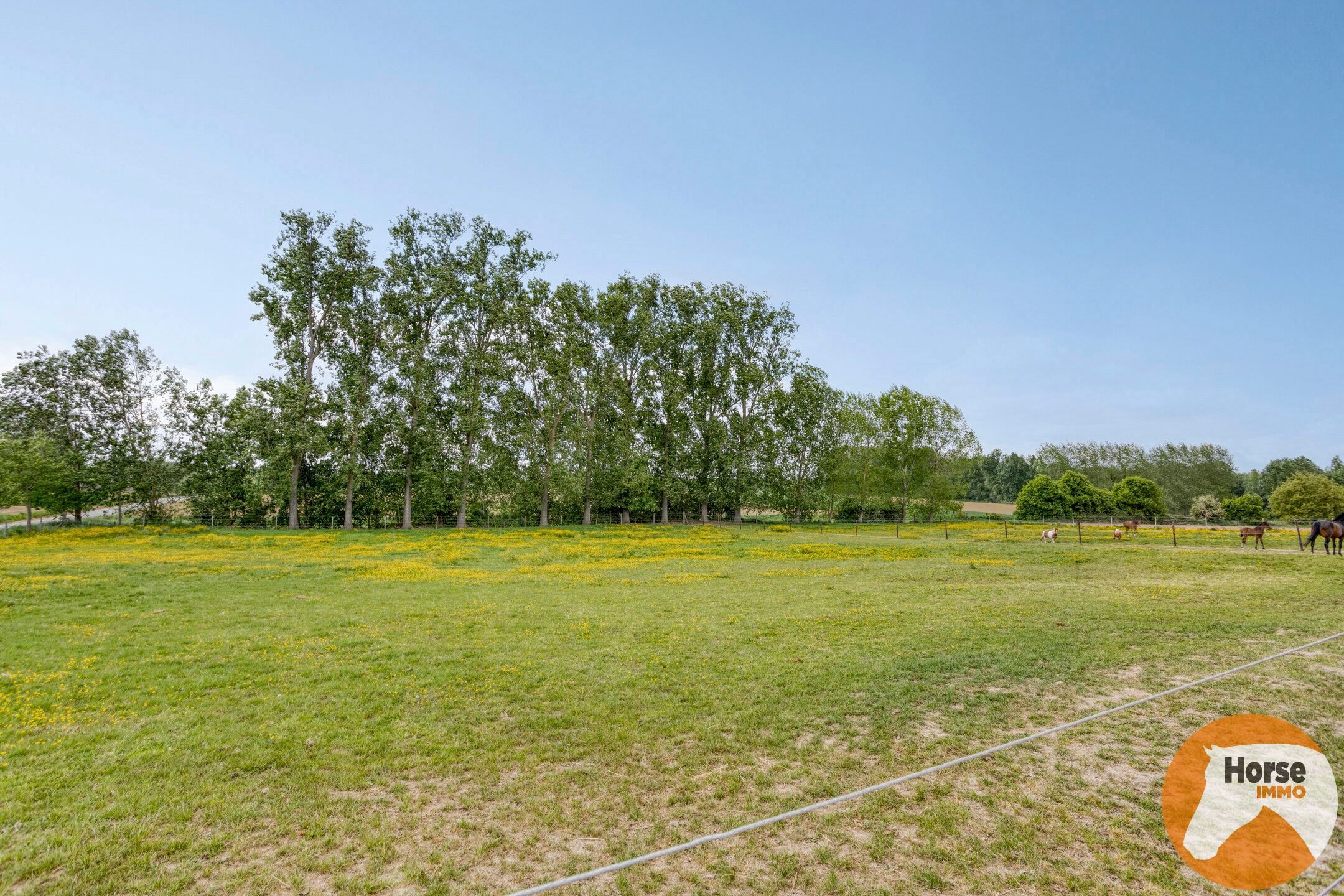 WOUBRECHTEGEM - Charmante woning met 2 loodsen op 1,61 ha  foto 31