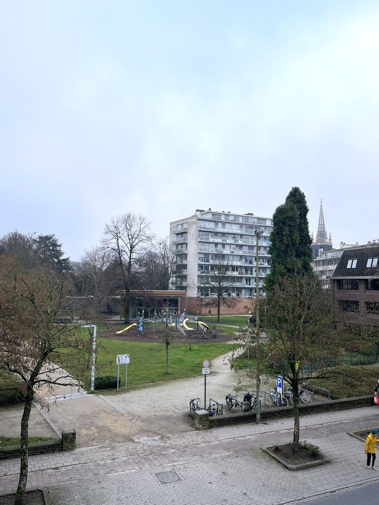 Lichtrijke, volledig gerenoveerde studio in centrum Leuven foto 5