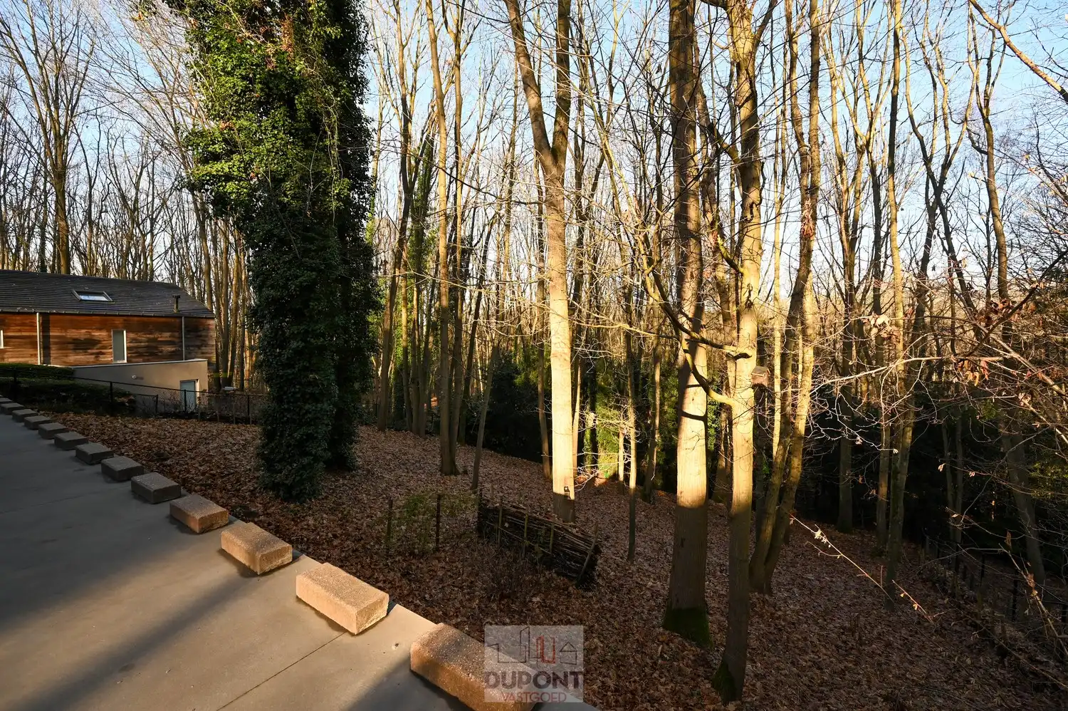 Villa gelegen in een prachtig bebost kader, zeer rustig gelegen, 3 tot 5 slaapkamers, zeer grote kelder. foto 21