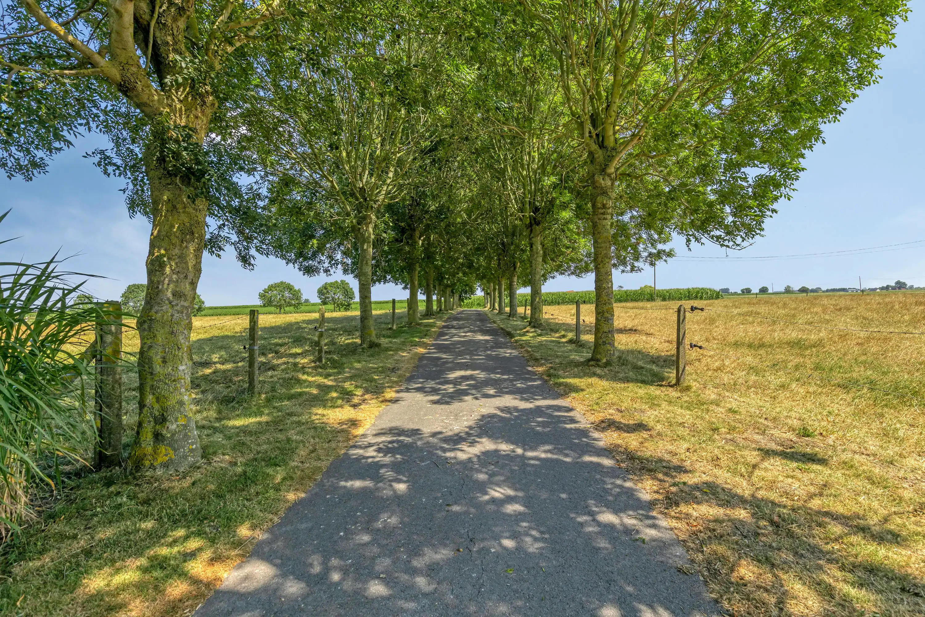 Rustig gelegen hoeve te koop in Hoogstade, Eikhoek 1. foto 5
