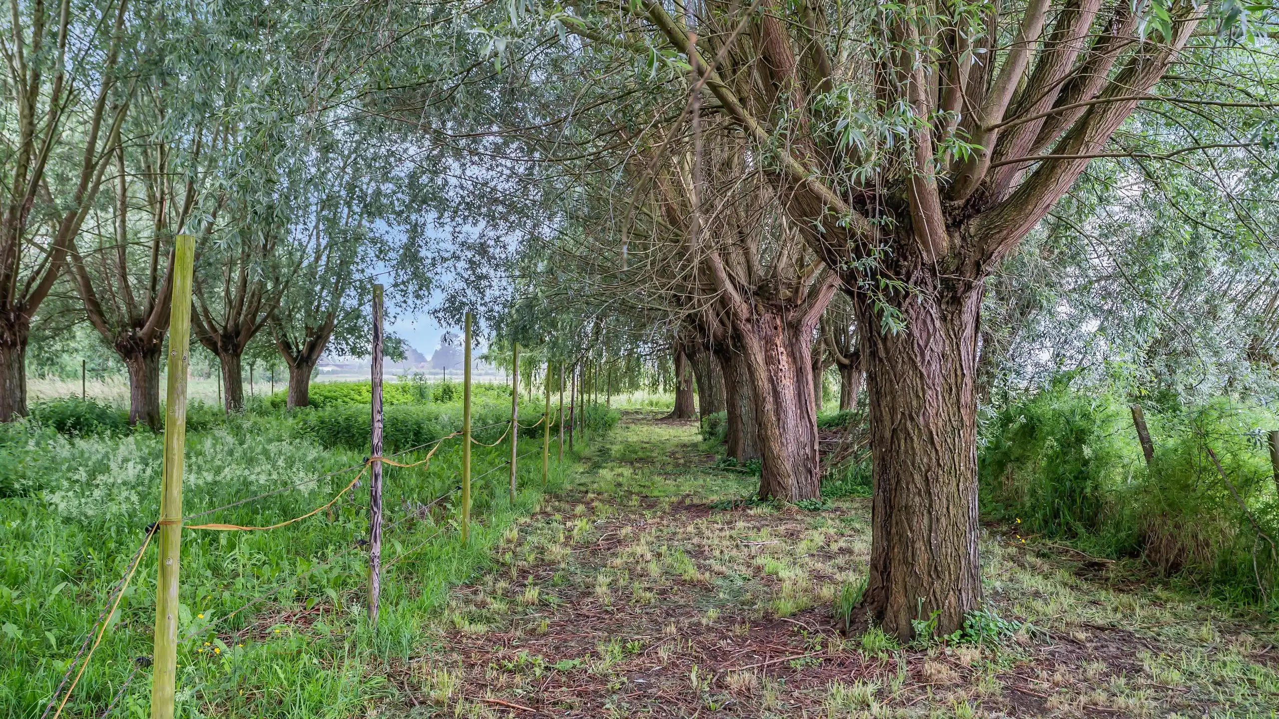 Huis te koop foto 9