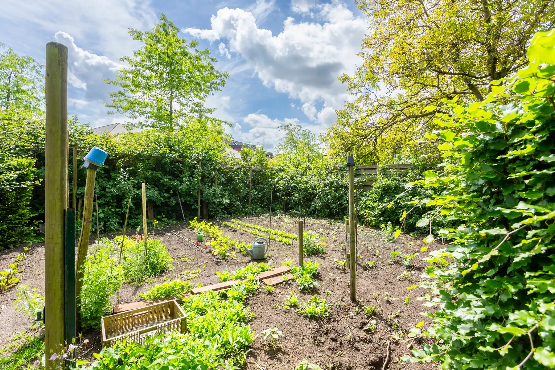 Ruime gezinswoning met zonnige tuin op toplocatie! foto 8