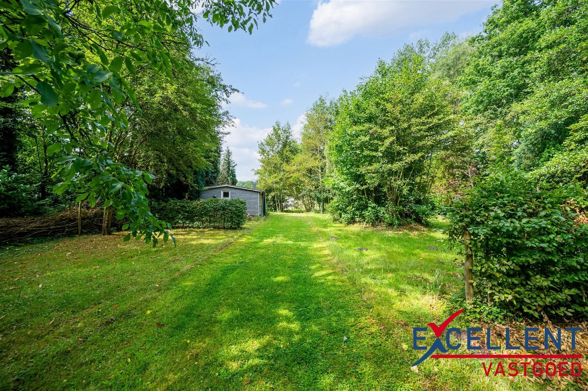 Unieke kans voor natuurliefhebbers foto 4