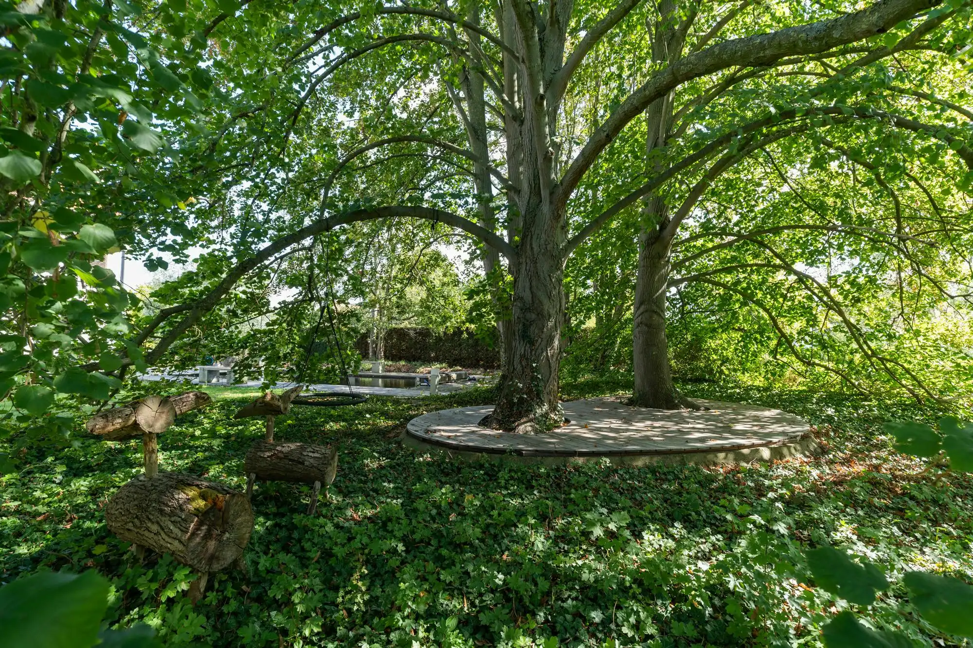 Exclusief landhuis met parkdomein in Aldeneik foto 37