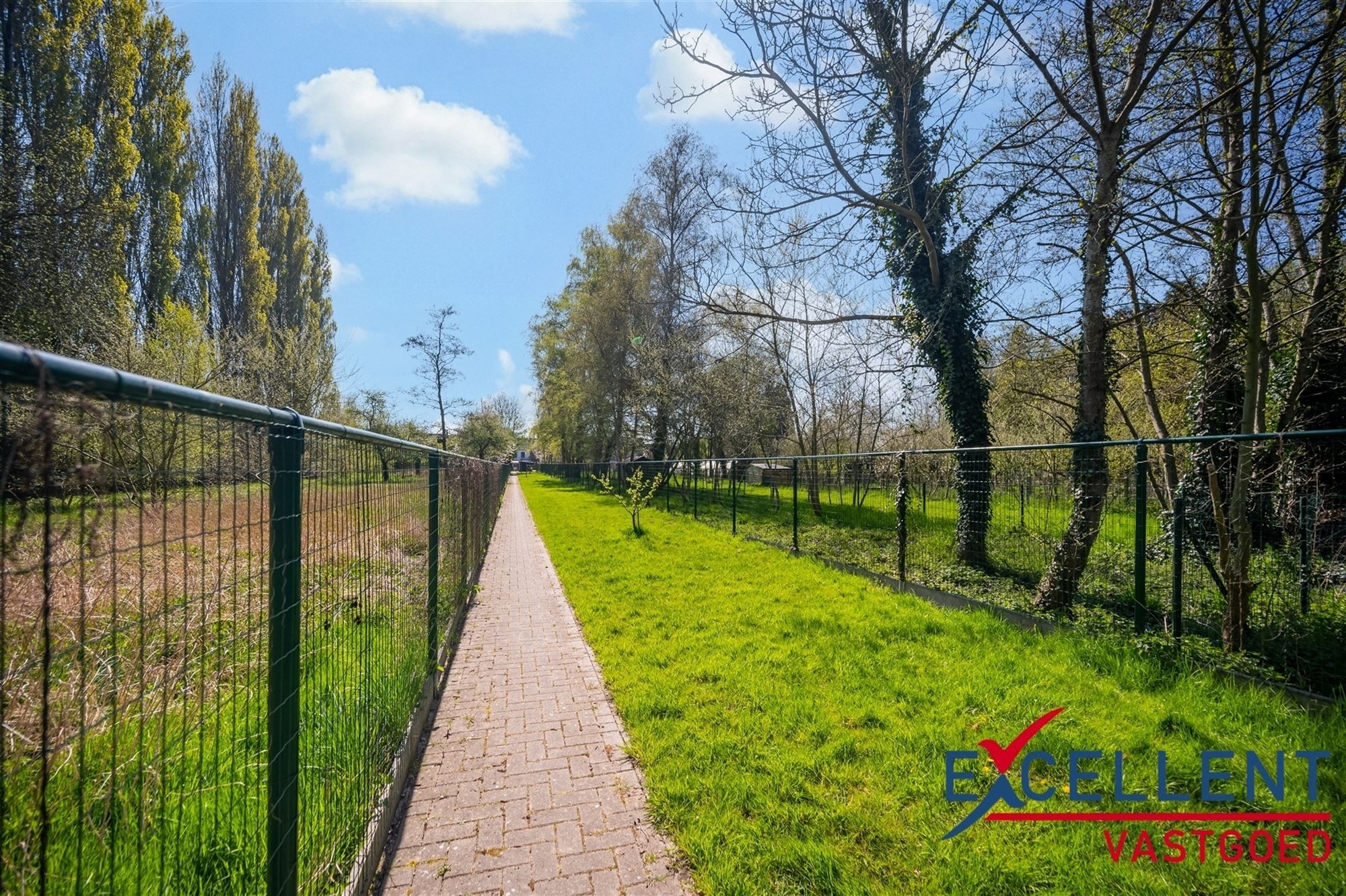 Instapklare en gerenoveerde woning centrum Deinze te koop foto 14