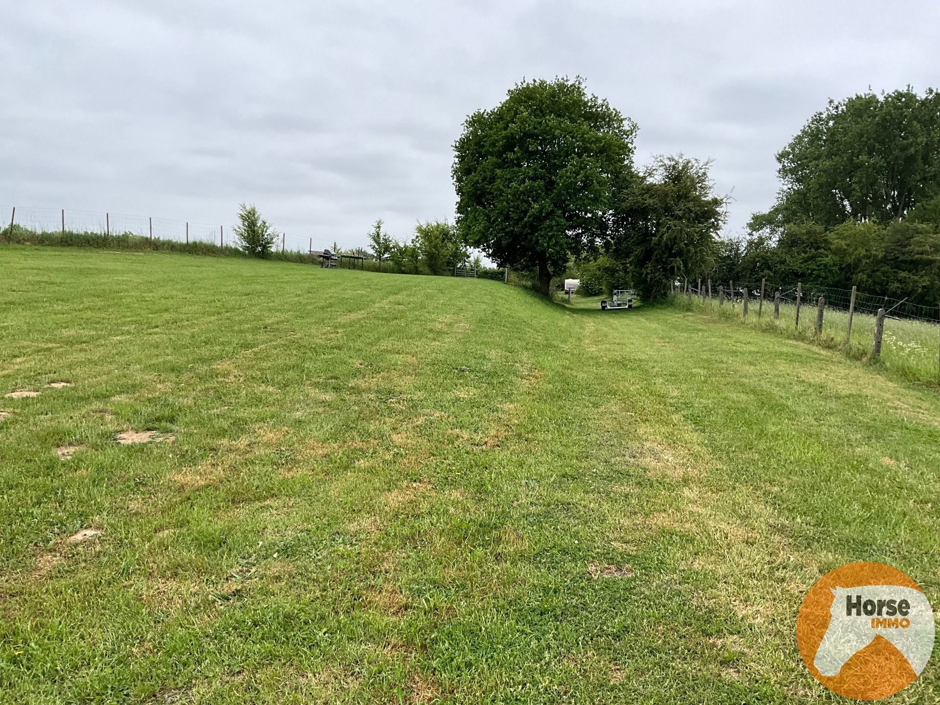 GERAARDSBERGEN - Rustig gelegen weide - 1,04 ha  foto 9
