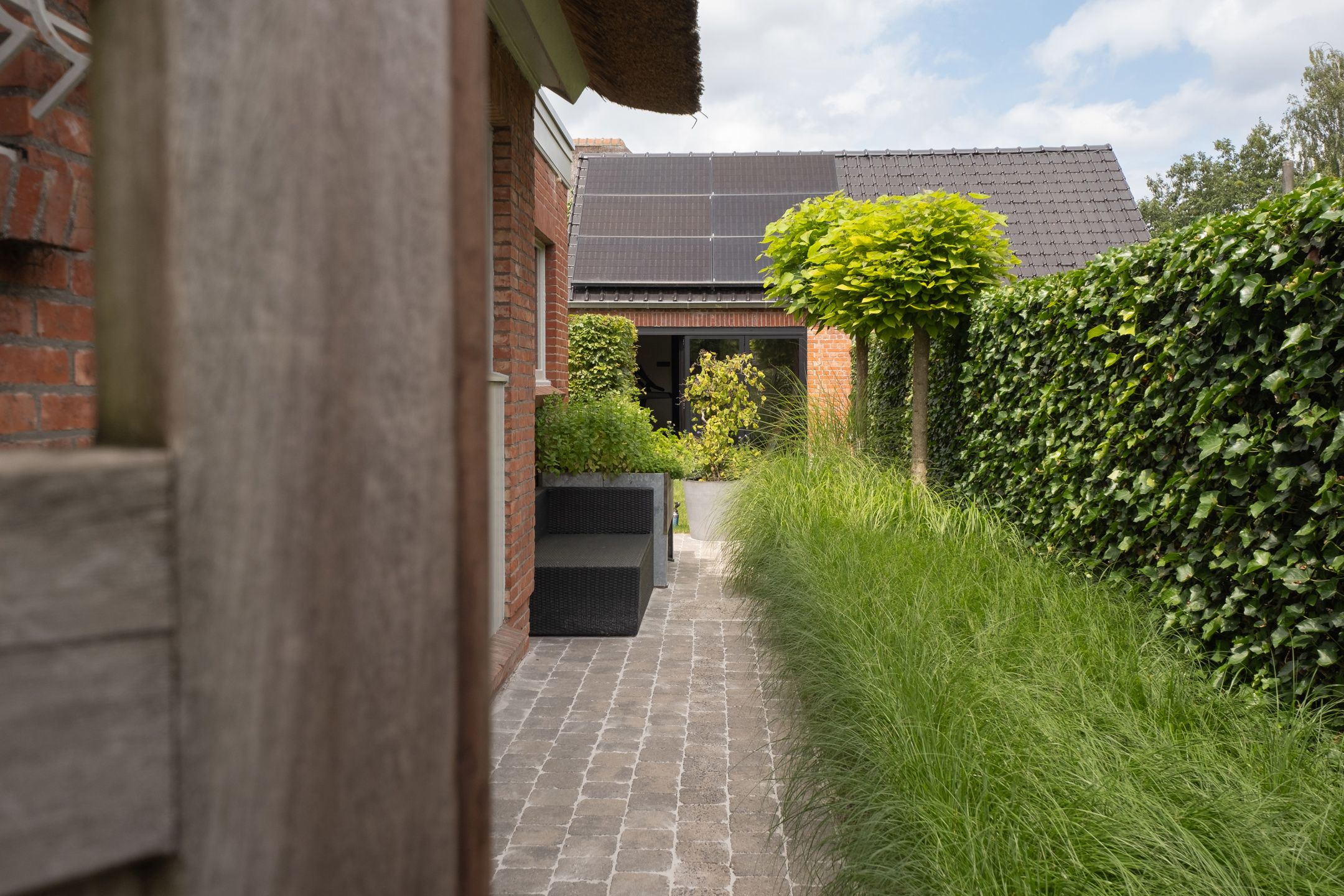 Charmante Rietdak Woning met 3 slk. en afgewerkt bijgebouw  foto 8