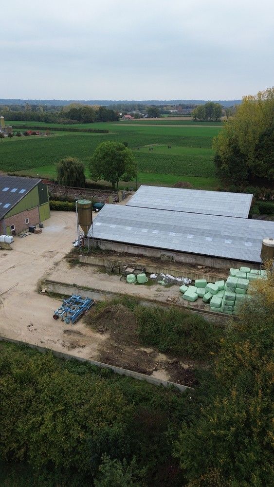 Prachtige boerderij op 1,4 hectare grond in Rekem/Lanaken foto 45