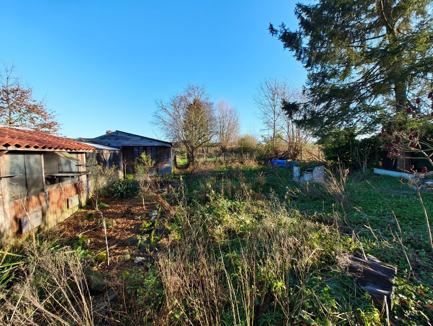 Ruime open bebouwing met 4 slaapkamers, tuin en veel ruimte in Waanrode foto 27