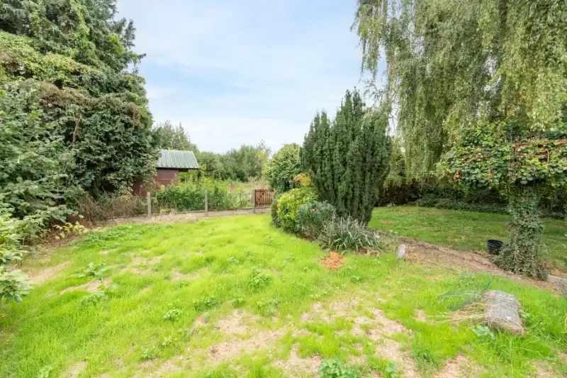 Woning OB op 774m² grondoppervlak op Staakte! foto 18