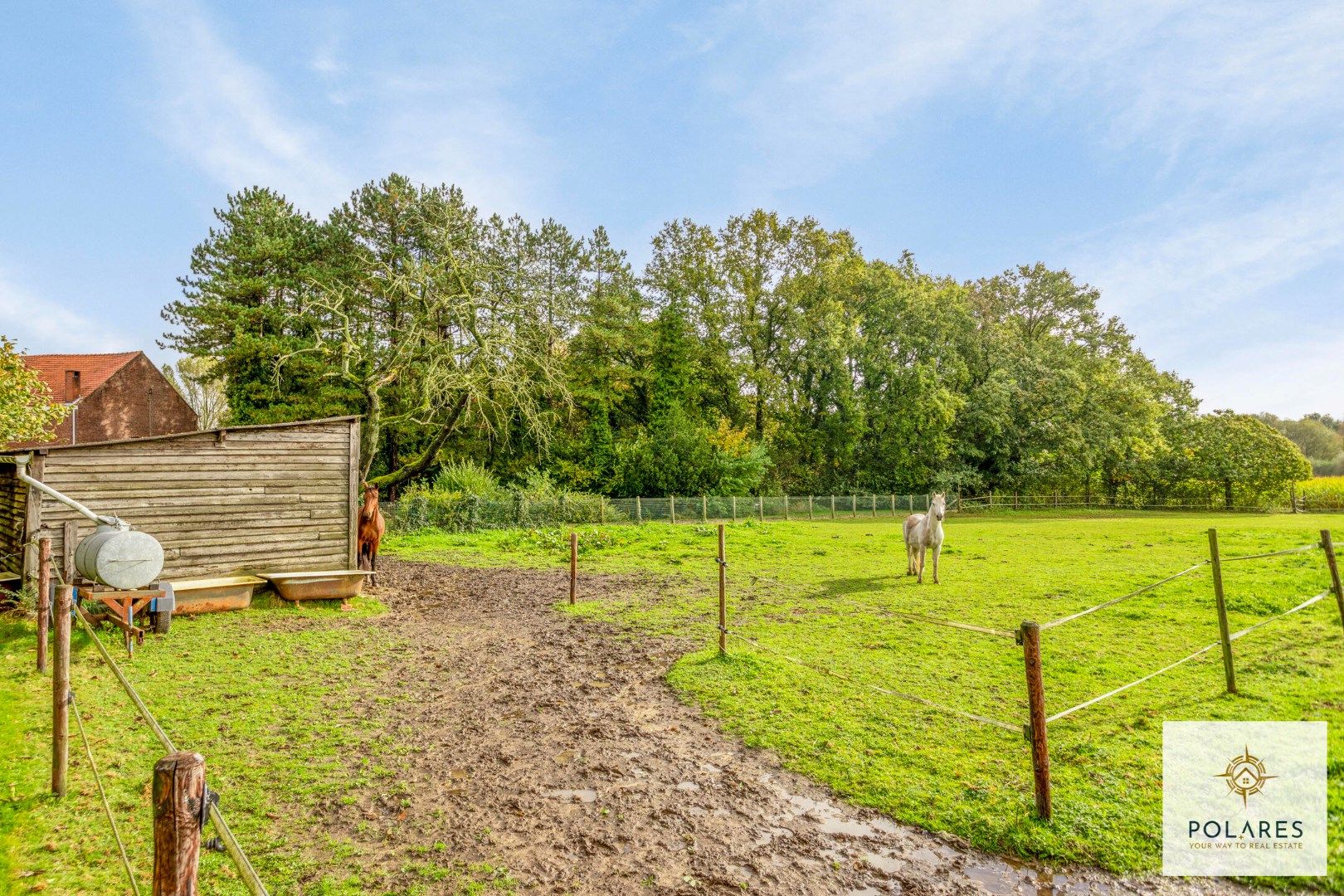 Prachtige te renoveren hoeve met paardenweide foto 3