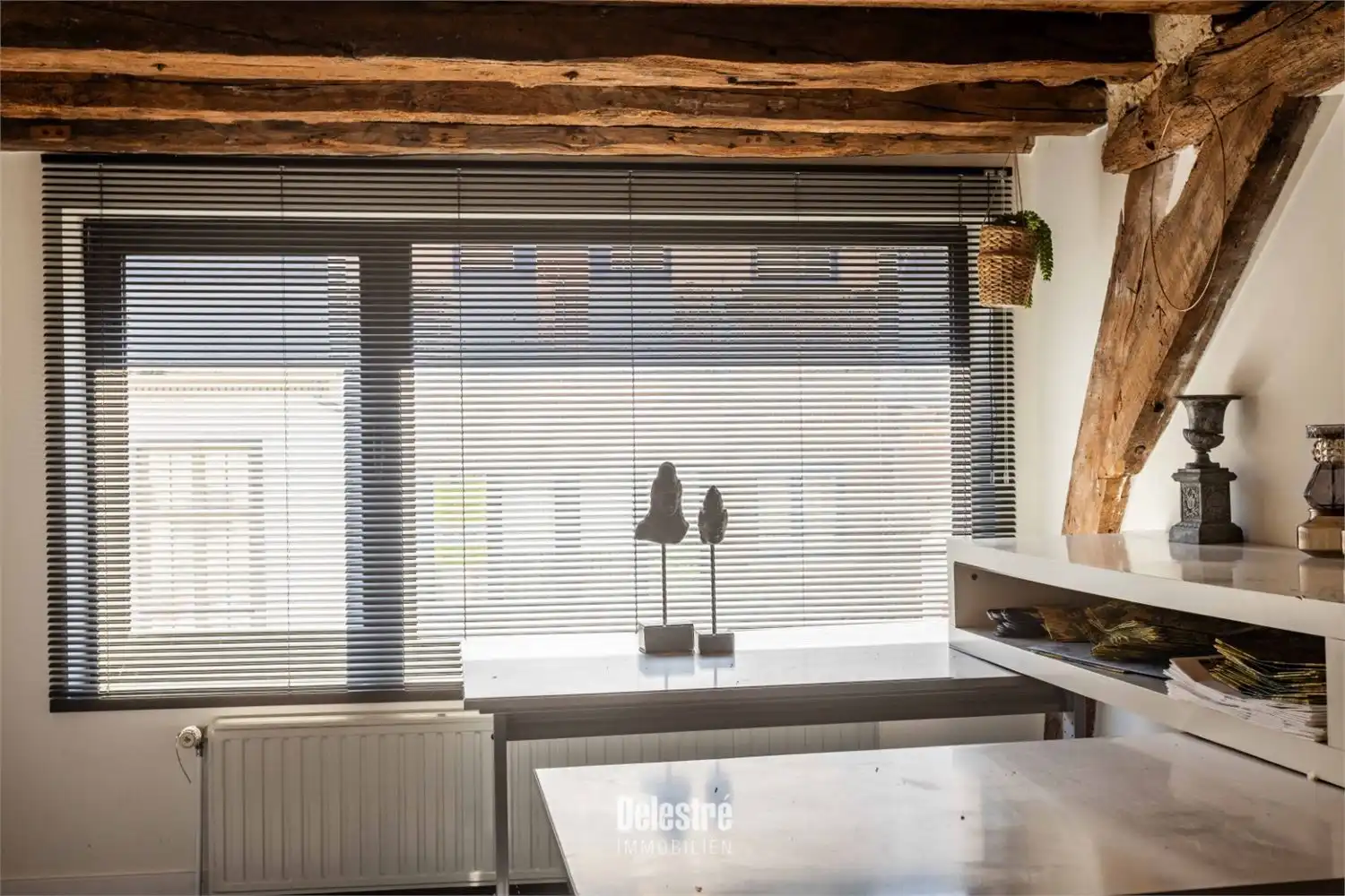 ENERGIEZUINIGE, LUXUEUS INGERICHTE HANDELSEIGENDOM MOLENSTRAAT foto 21